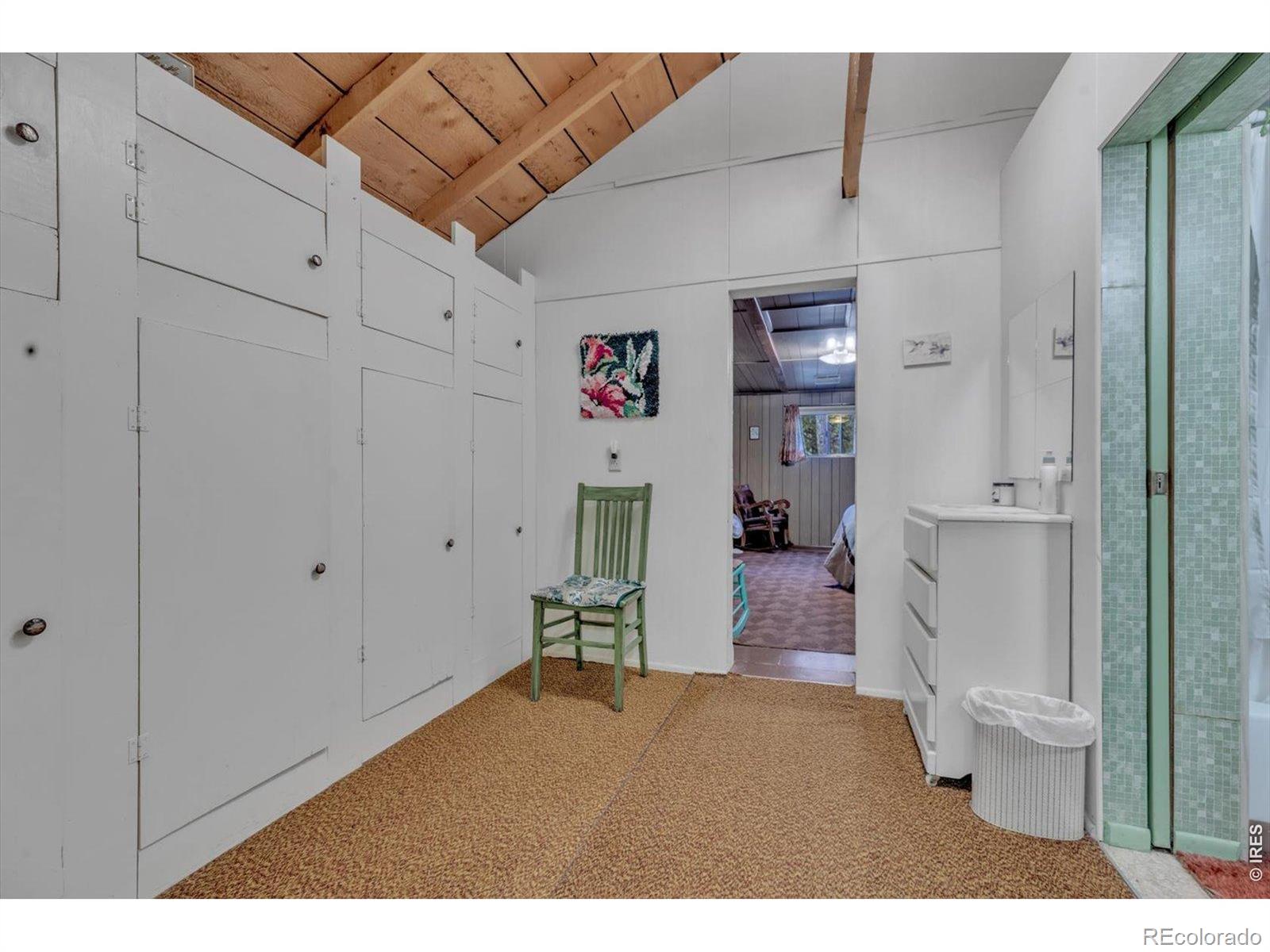 MLS Image #14 for 650 w pine street,nederland, Colorado