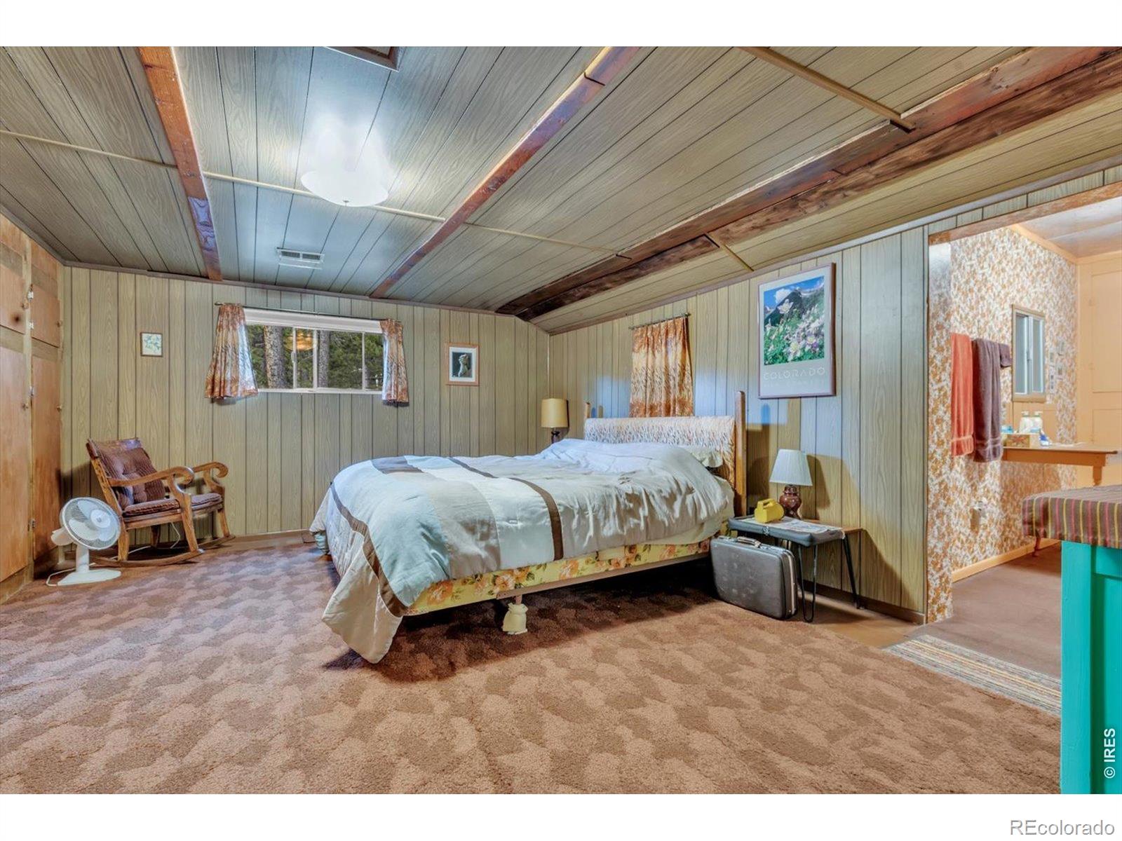 MLS Image #15 for 650 w pine street,nederland, Colorado