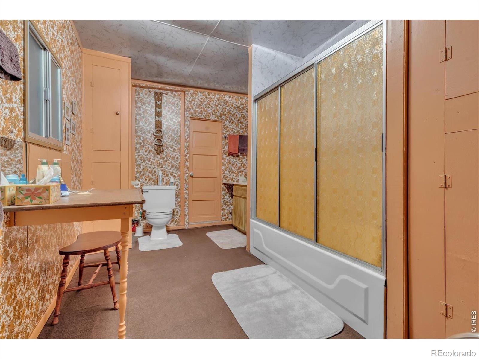 MLS Image #16 for 650 w pine street,nederland, Colorado