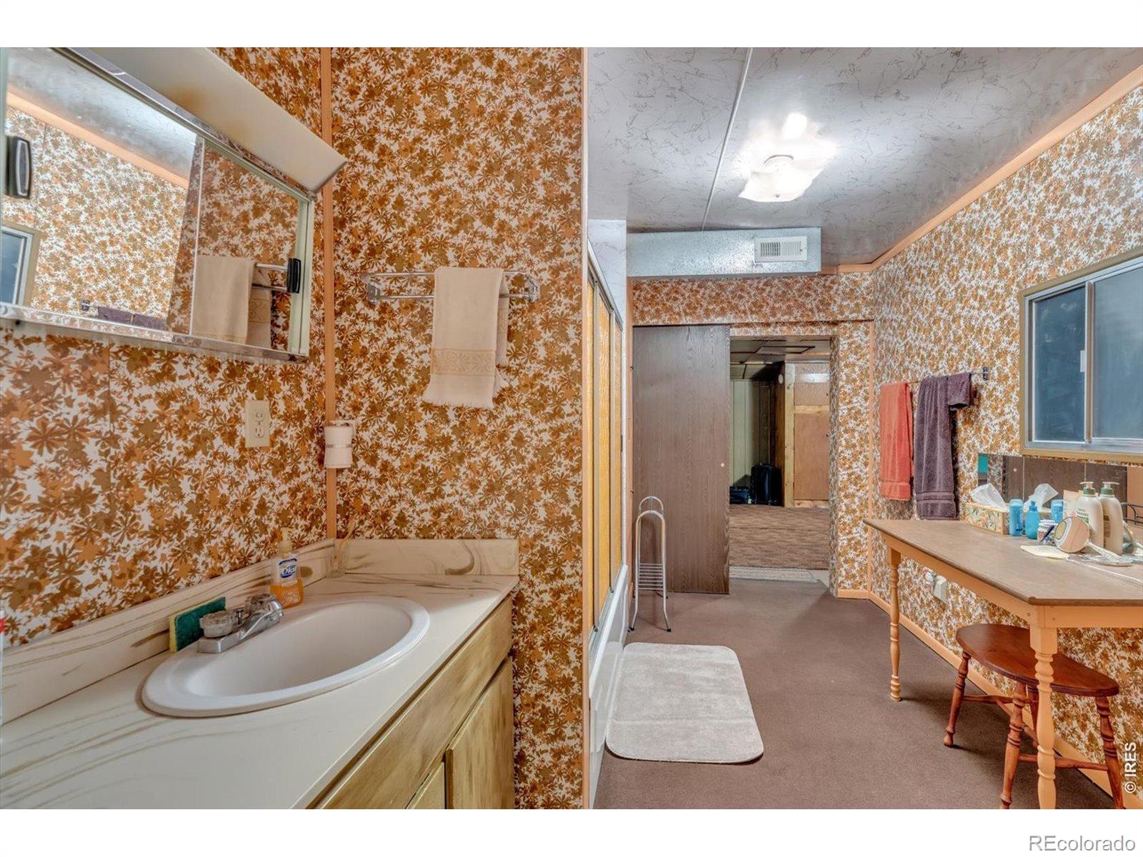MLS Image #17 for 650 w pine street,nederland, Colorado