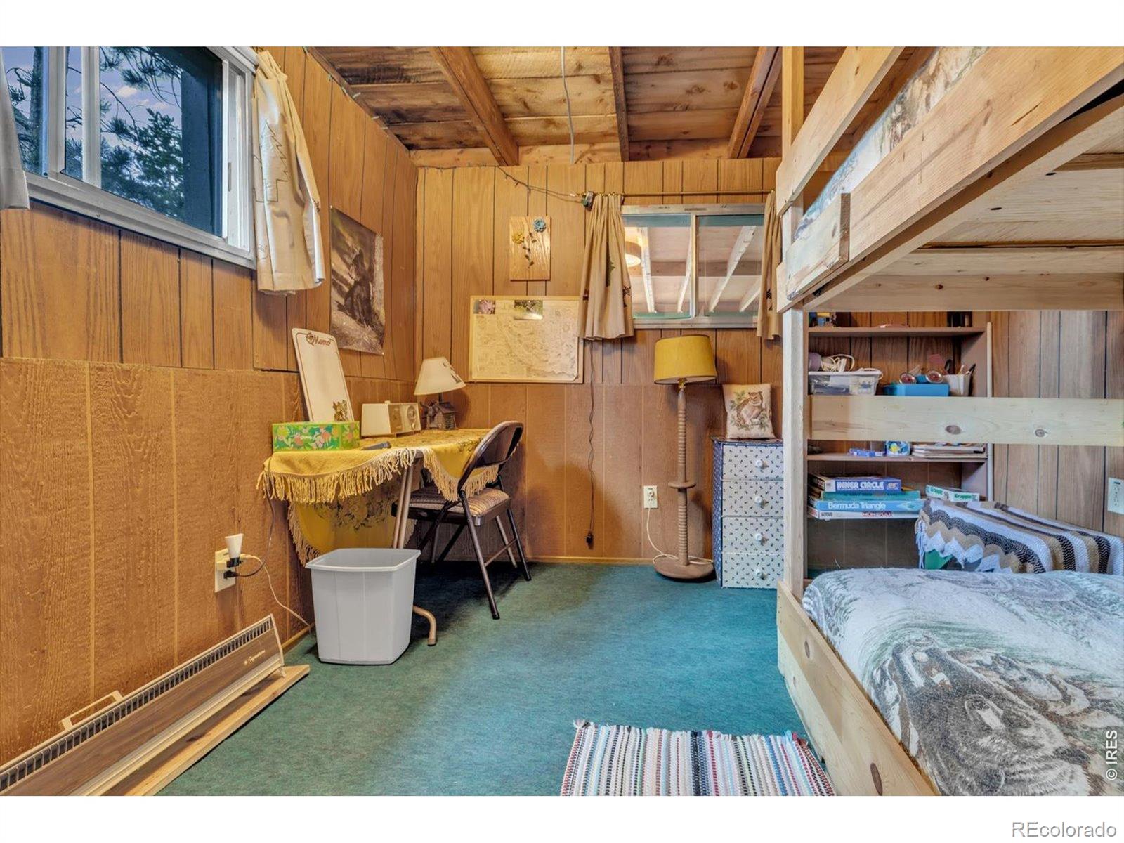 MLS Image #21 for 650 w pine street,nederland, Colorado