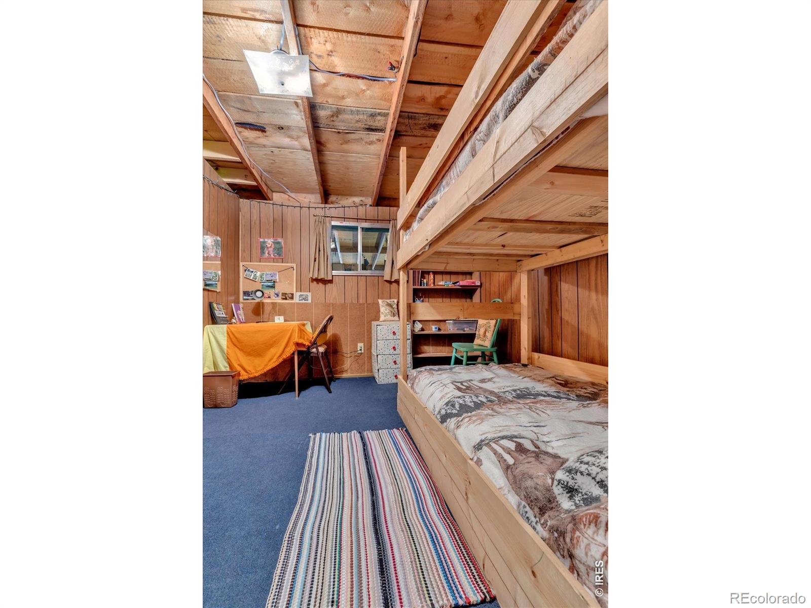 MLS Image #22 for 650 w pine street,nederland, Colorado