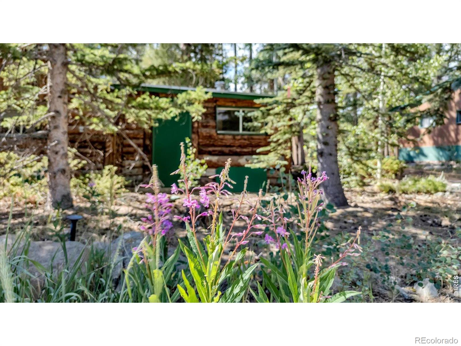MLS Image #27 for 650 w pine street,nederland, Colorado