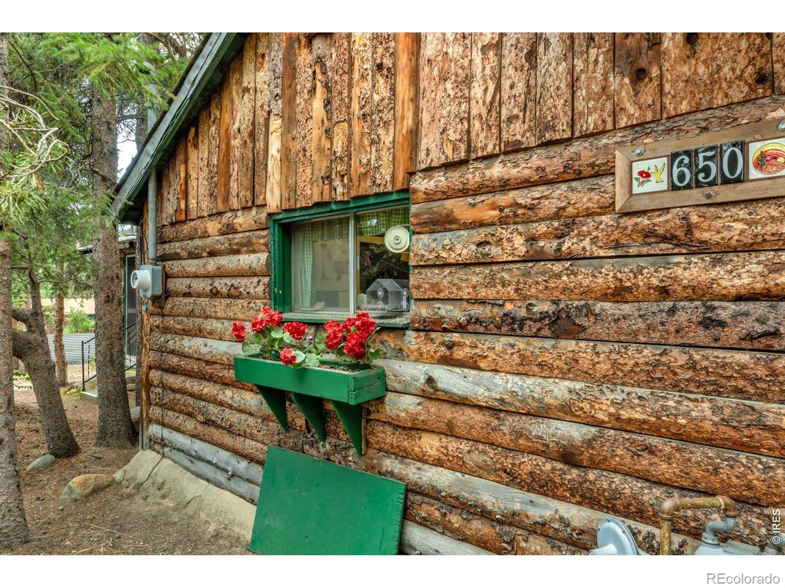 MLS Image #3 for 650 w pine street,nederland, Colorado