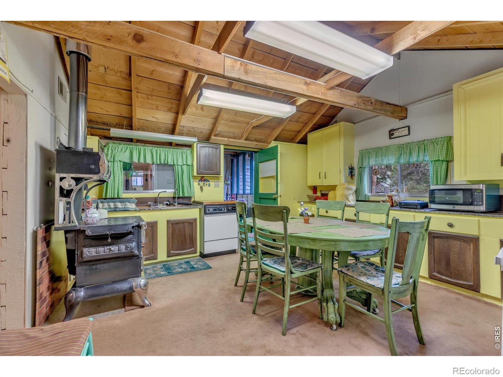 MLS Image #9 for 650 w pine street,nederland, Colorado