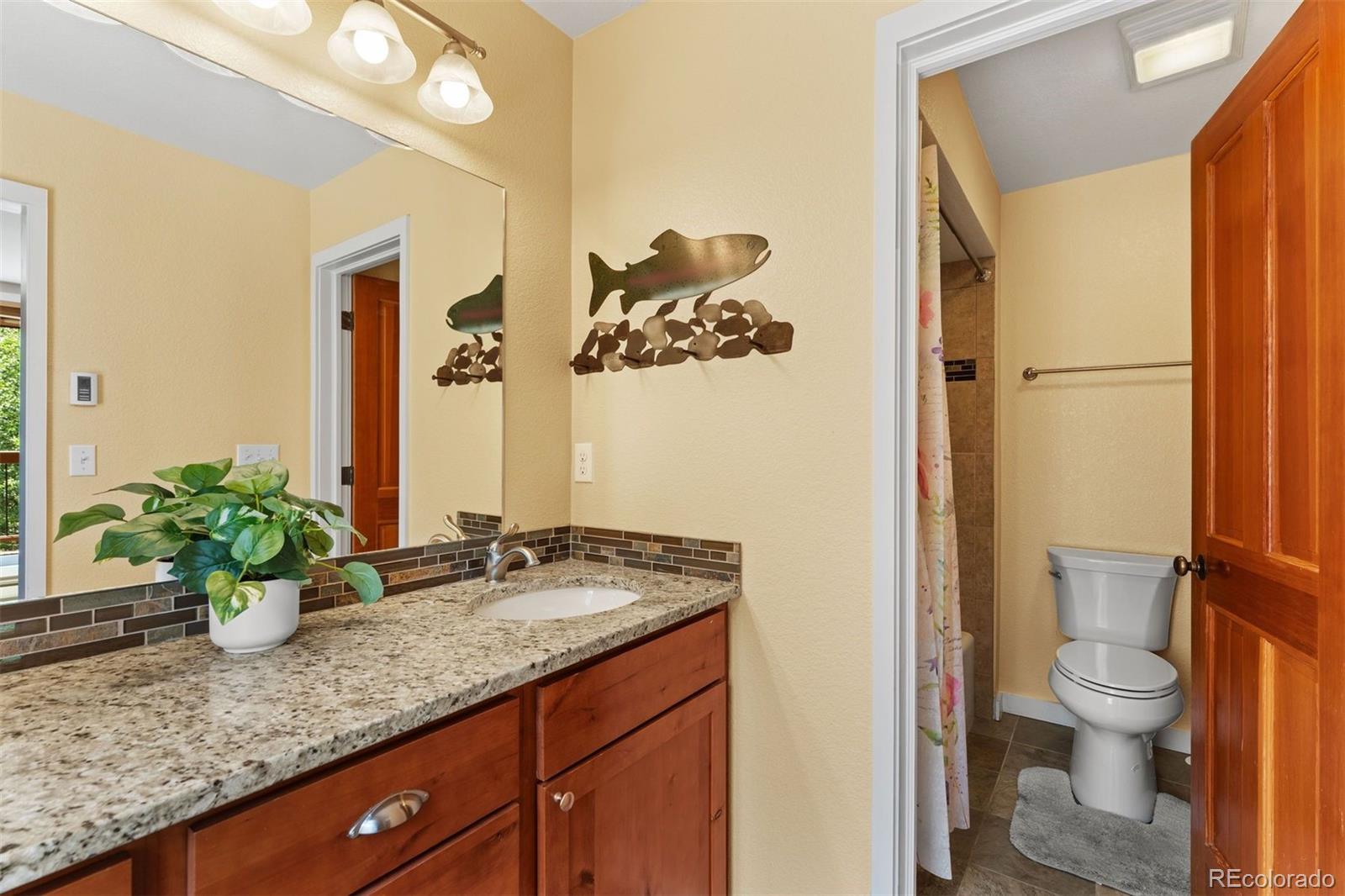 MLS Image #21 for 402  wild irishman road,keystone, Colorado