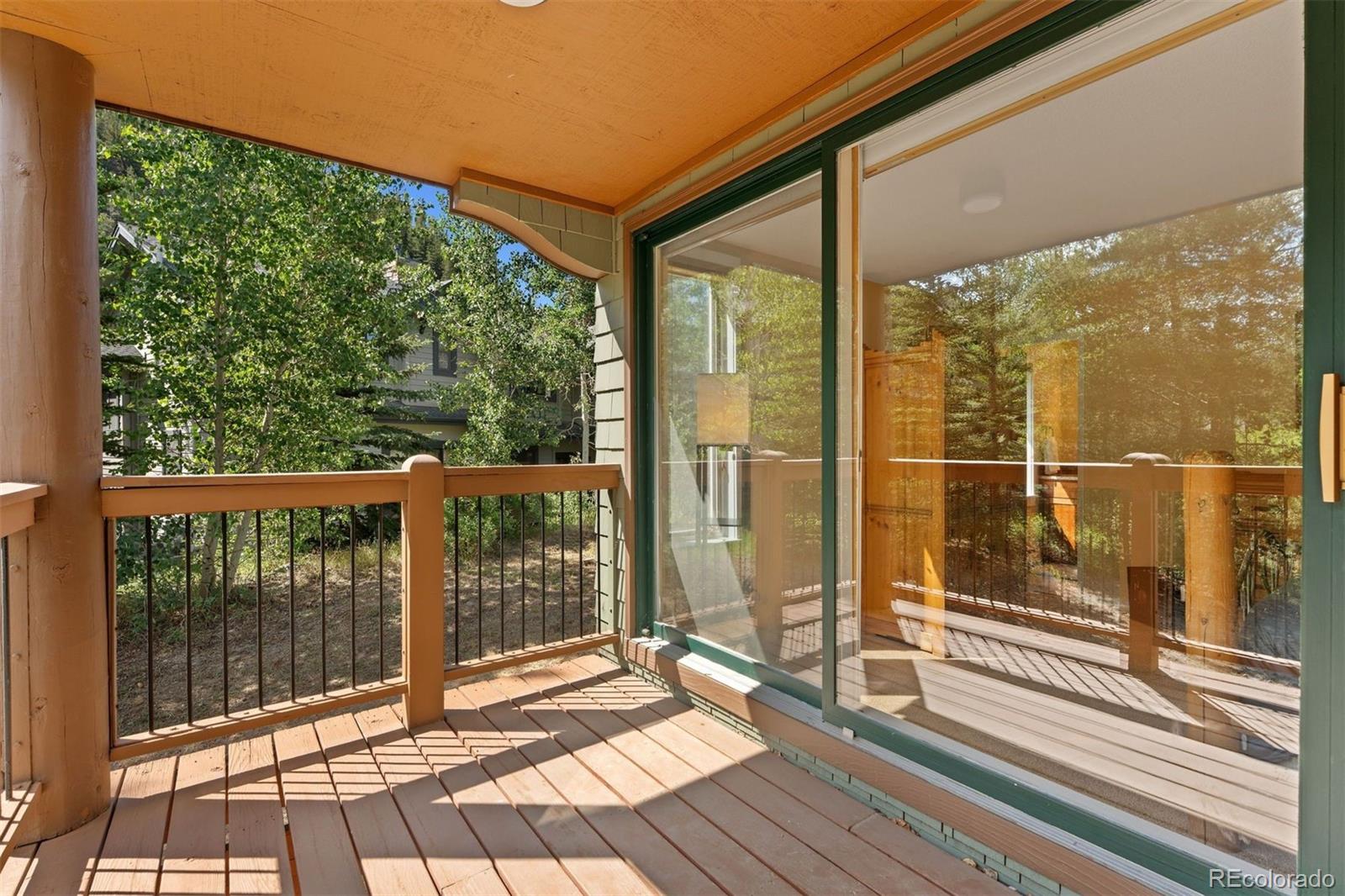 MLS Image #24 for 402  wild irishman road,keystone, Colorado