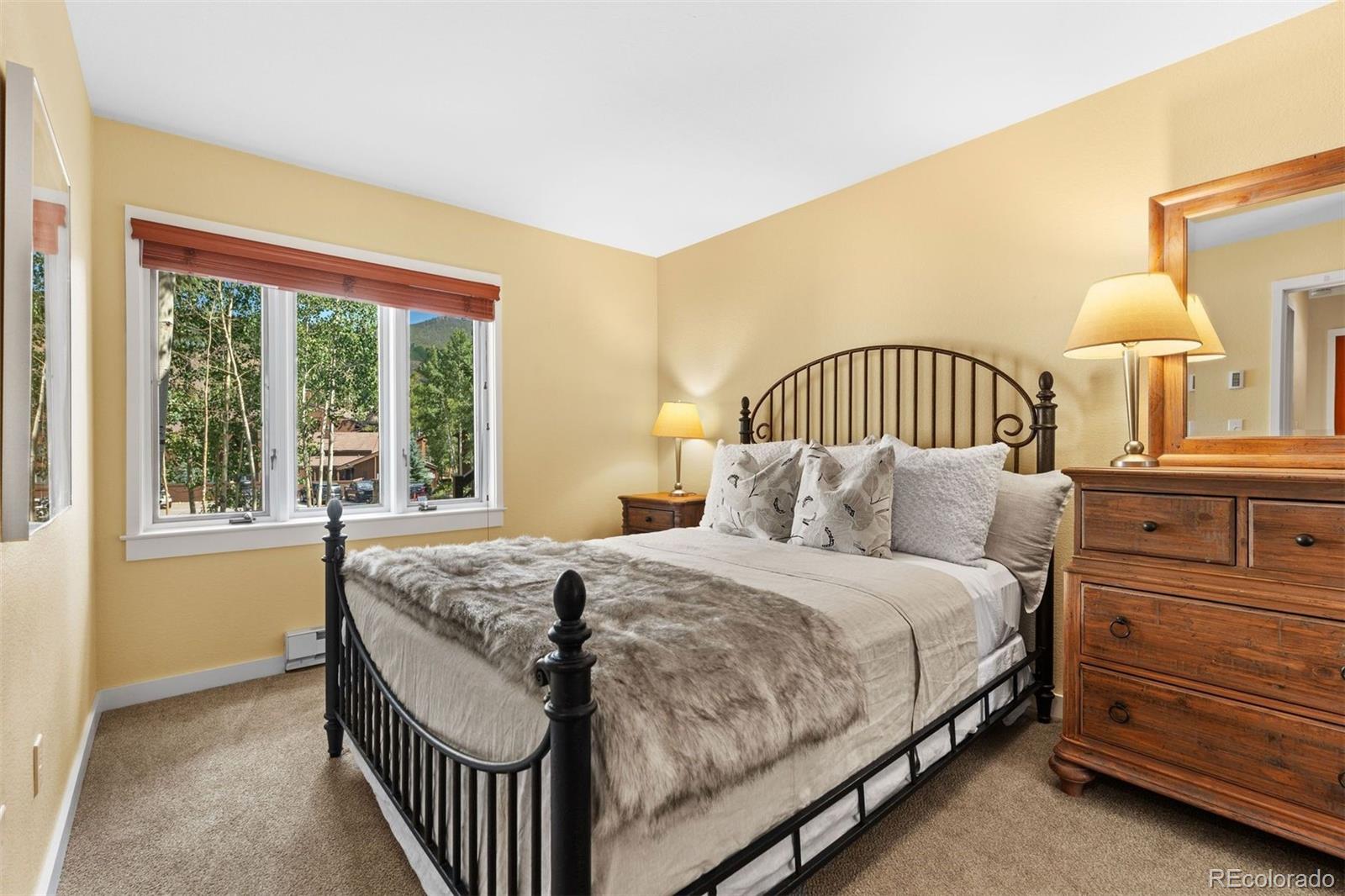 MLS Image #25 for 402  wild irishman road,keystone, Colorado