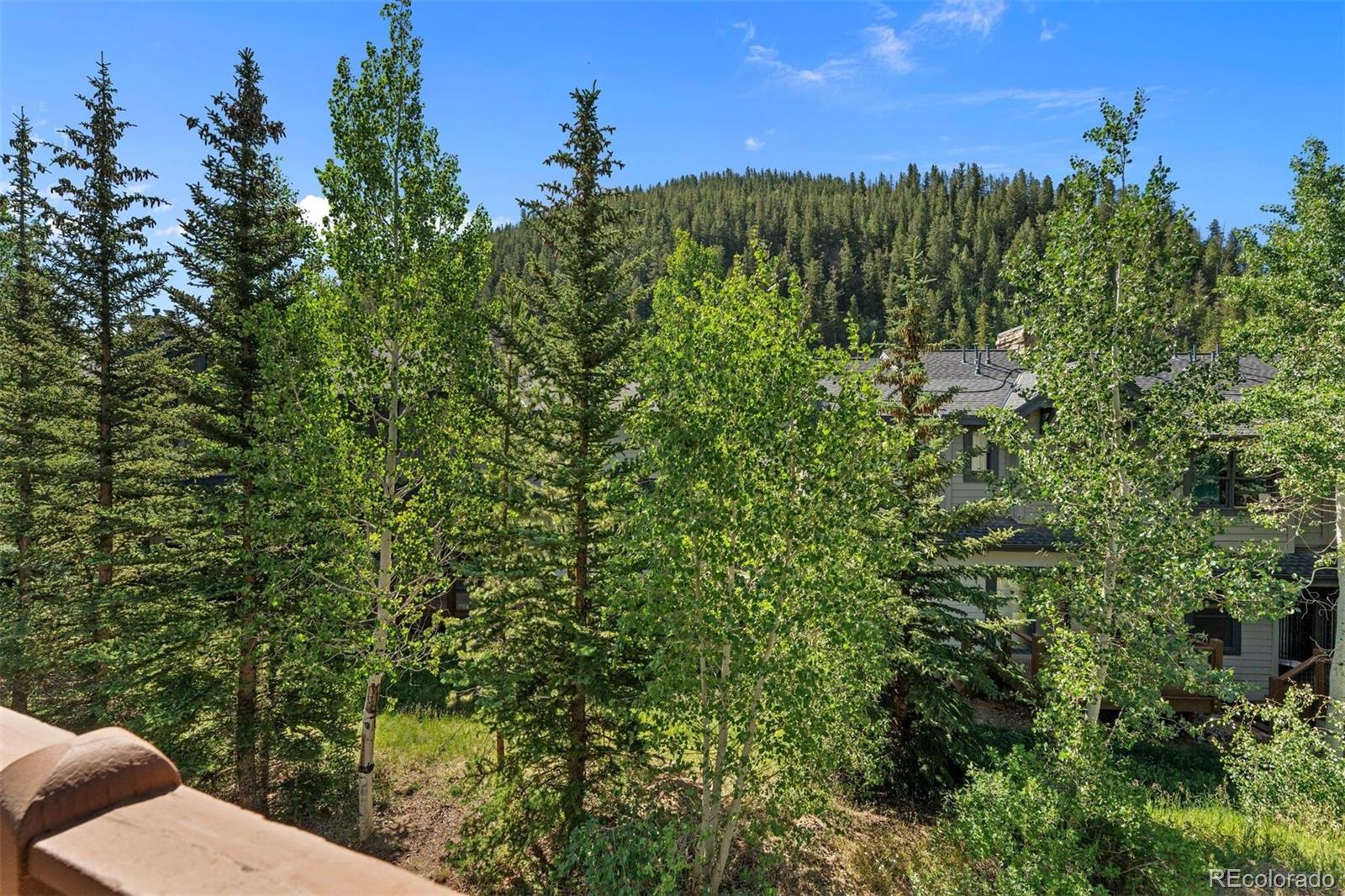 MLS Image #32 for 402  wild irishman road,keystone, Colorado