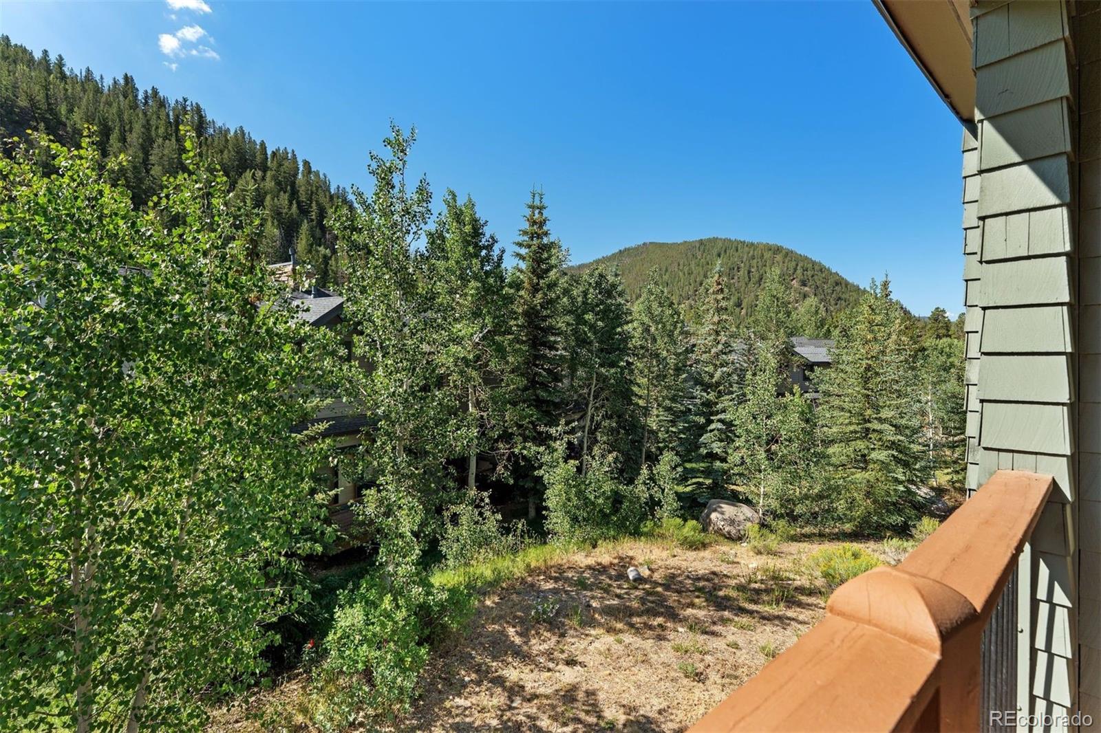 MLS Image #33 for 402  wild irishman road,keystone, Colorado