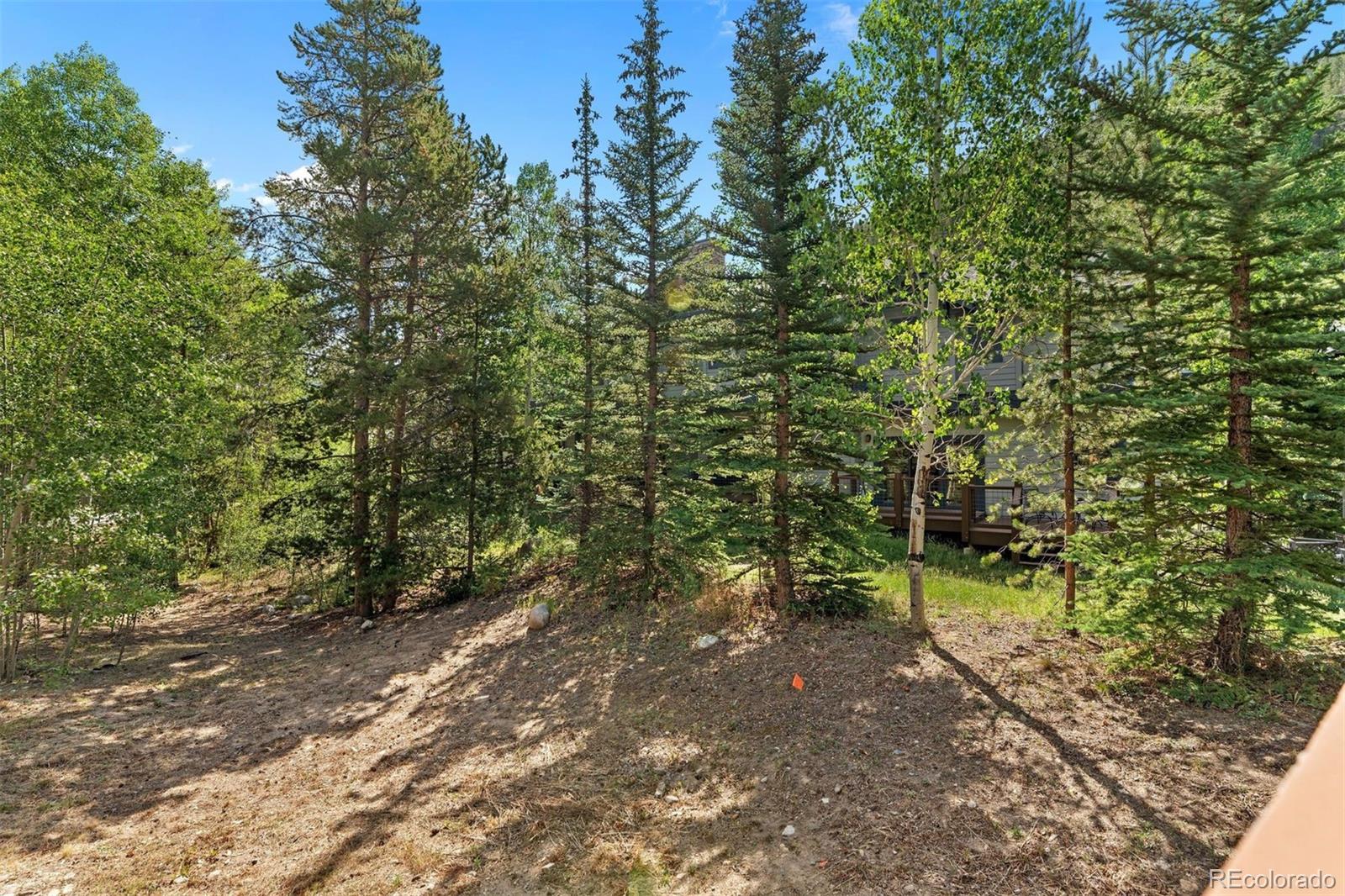 MLS Image #34 for 402  wild irishman road,keystone, Colorado