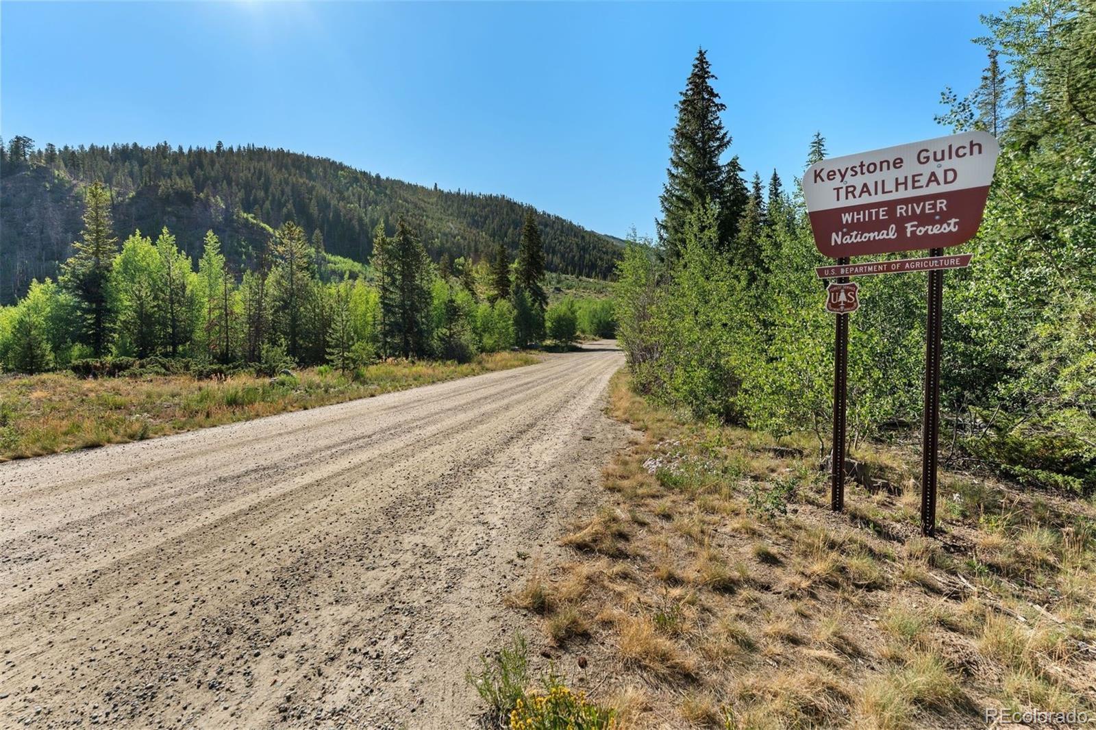 MLS Image #43 for 402  wild irishman road,keystone, Colorado
