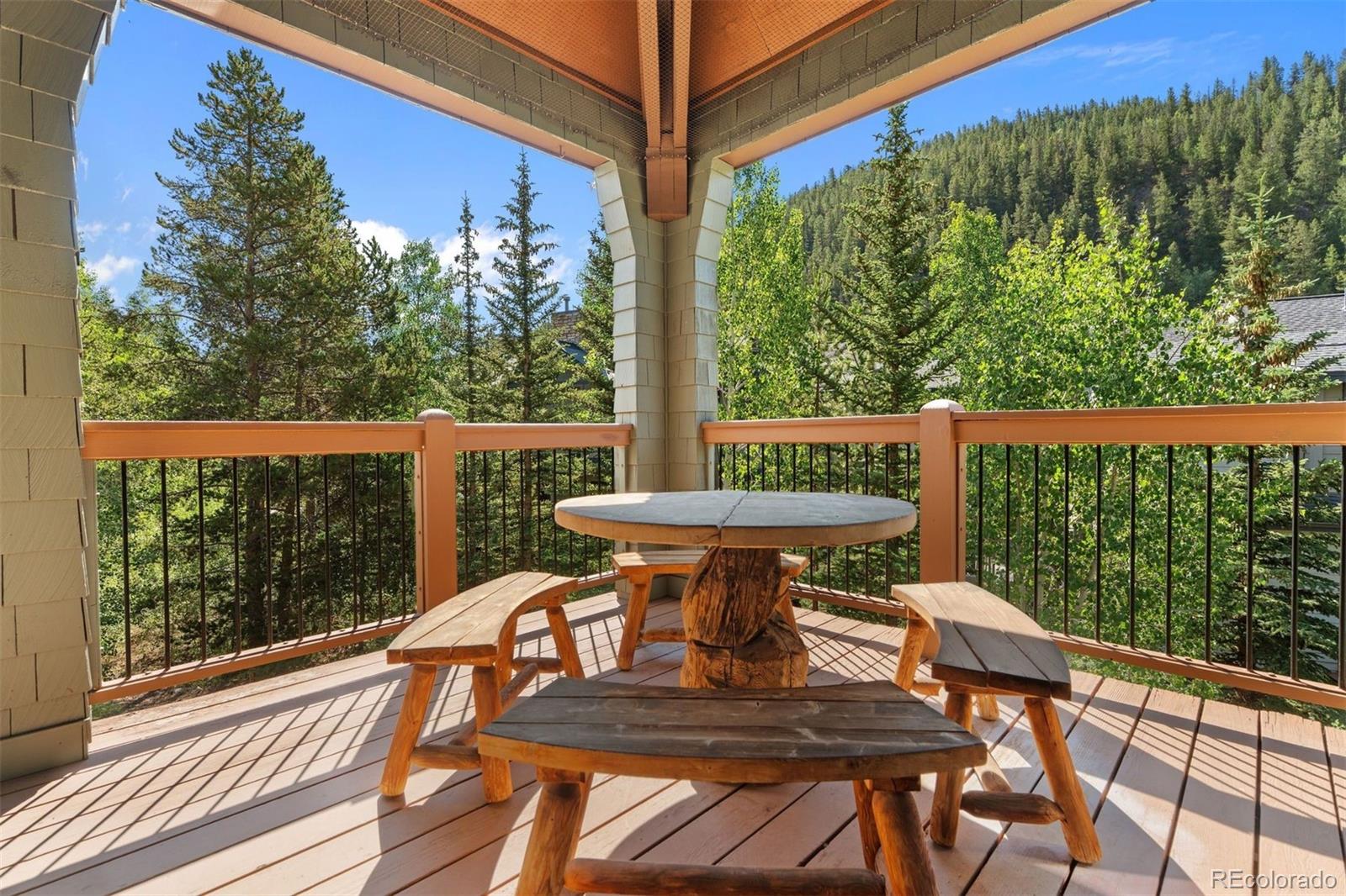 MLS Image #5 for 402  wild irishman road,keystone, Colorado