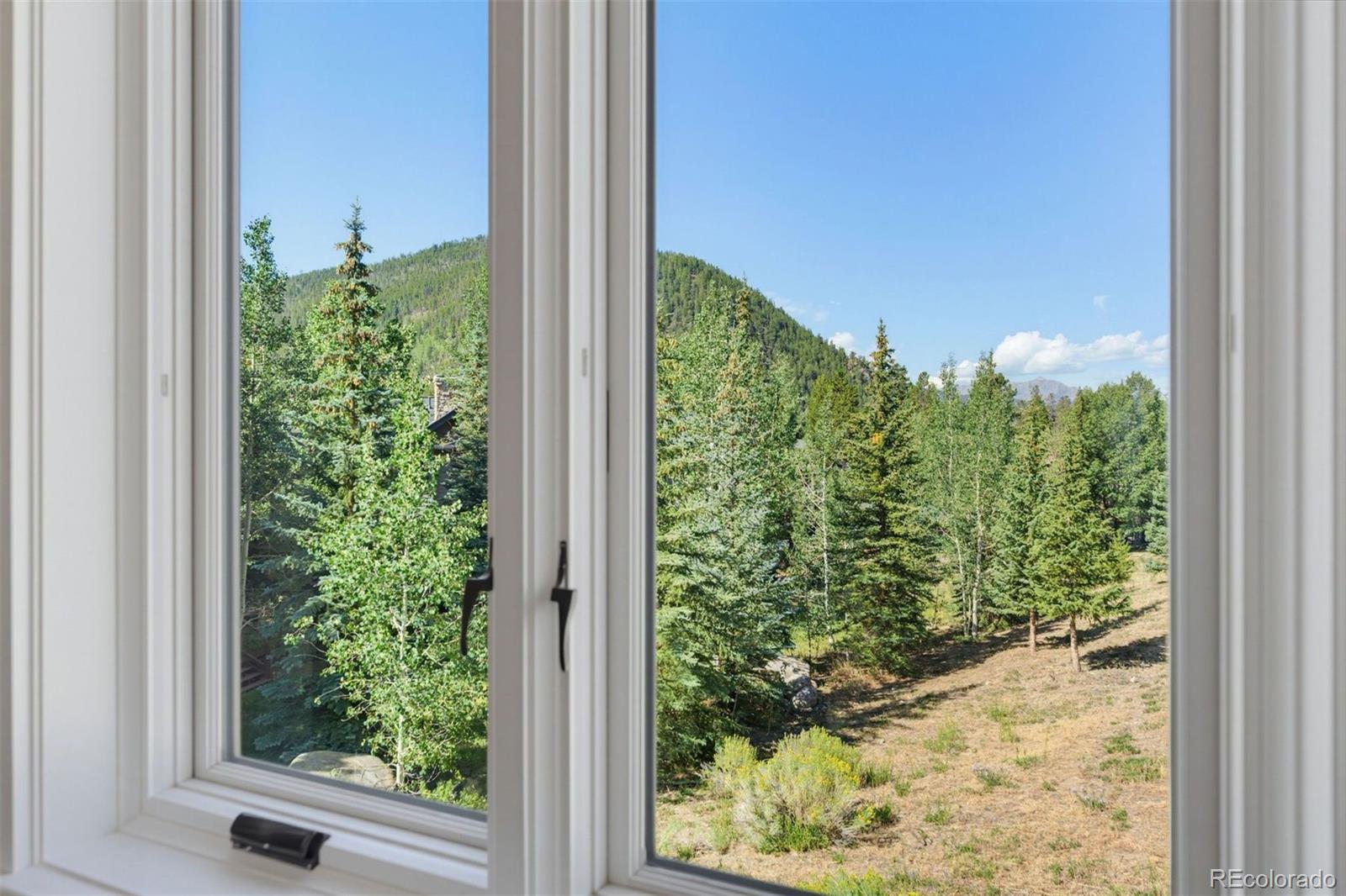 MLS Image #6 for 402  wild irishman road,keystone, Colorado