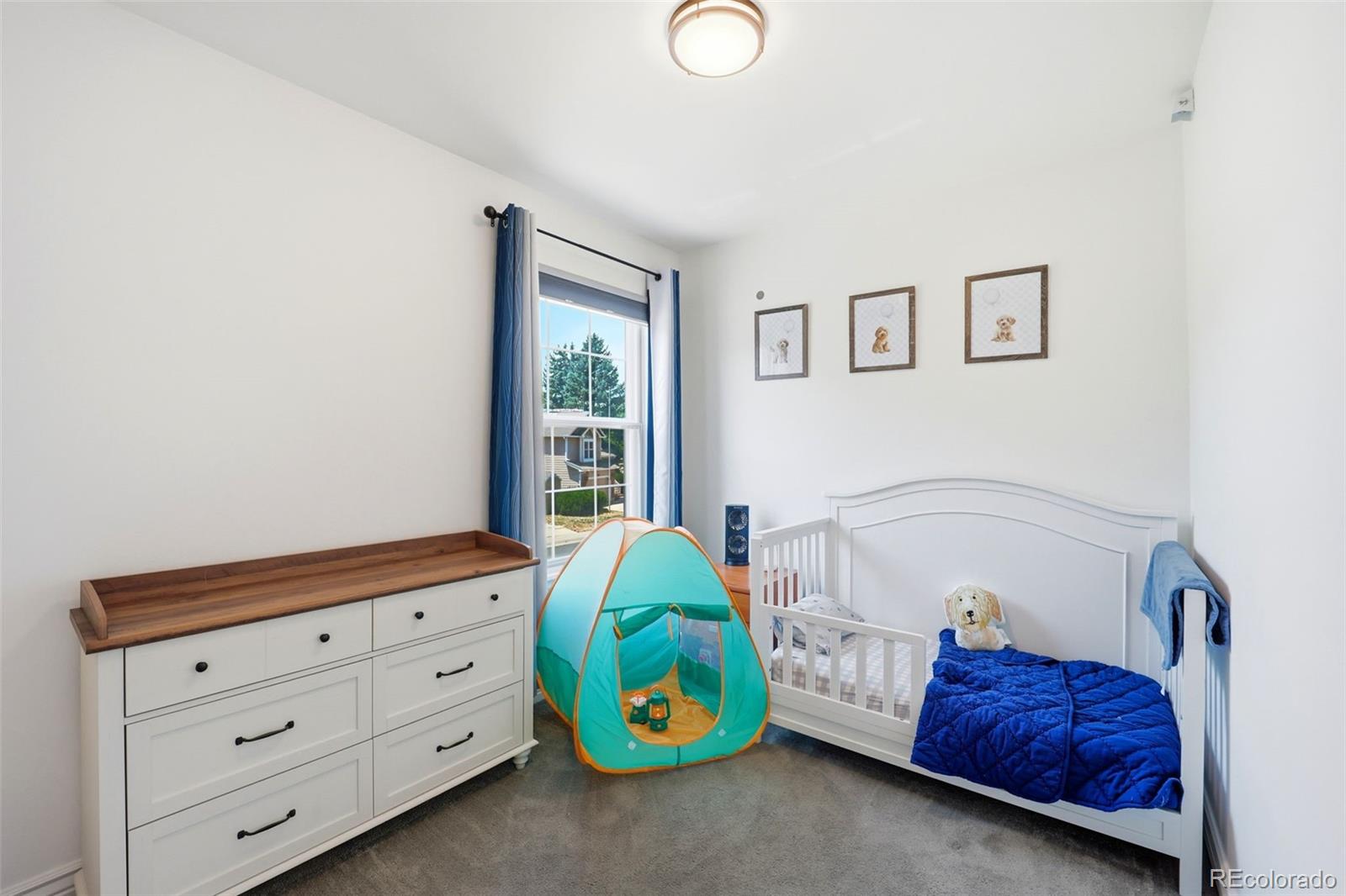 MLS Image #13 for 12646  hazel street,broomfield, Colorado