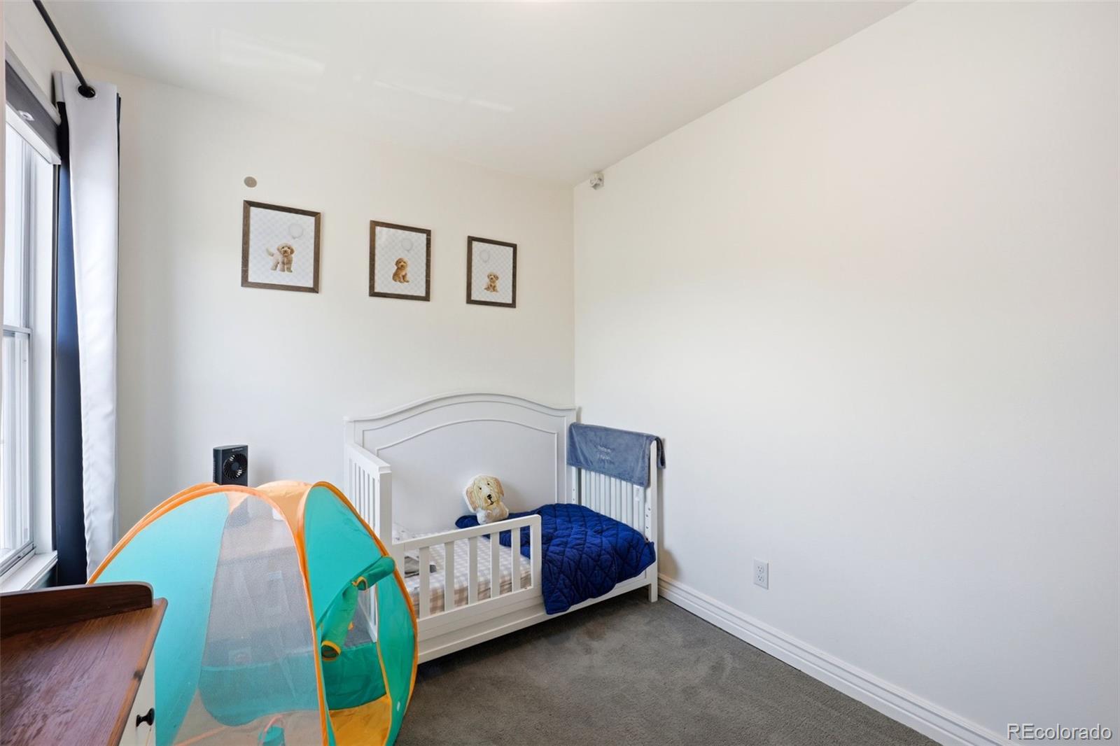 MLS Image #14 for 12646  hazel street,broomfield, Colorado