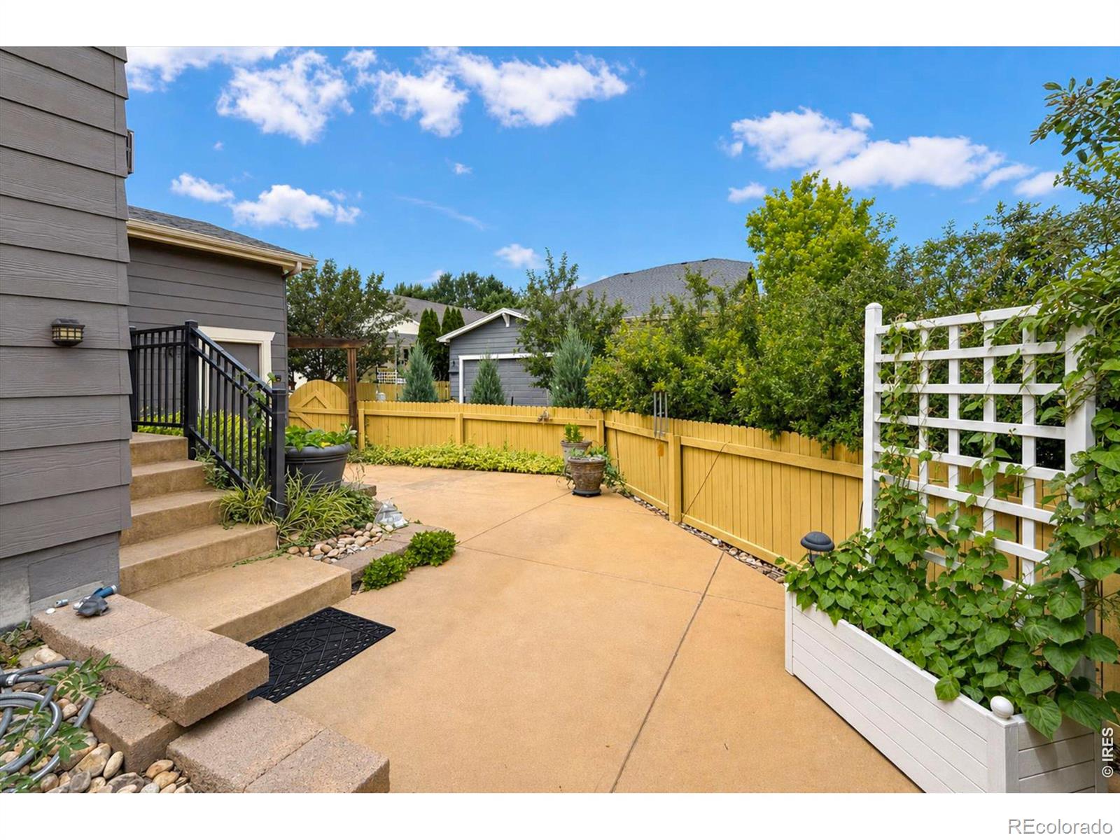 MLS Image #43 for 639  summer hawk drive,longmont, Colorado