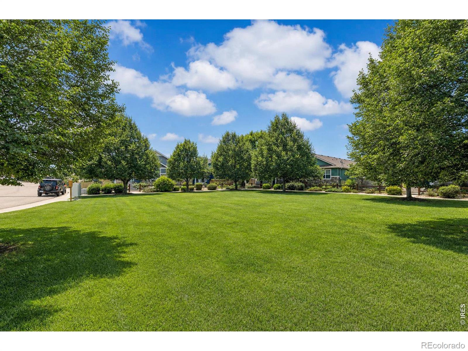MLS Image #48 for 639  summer hawk drive,longmont, Colorado