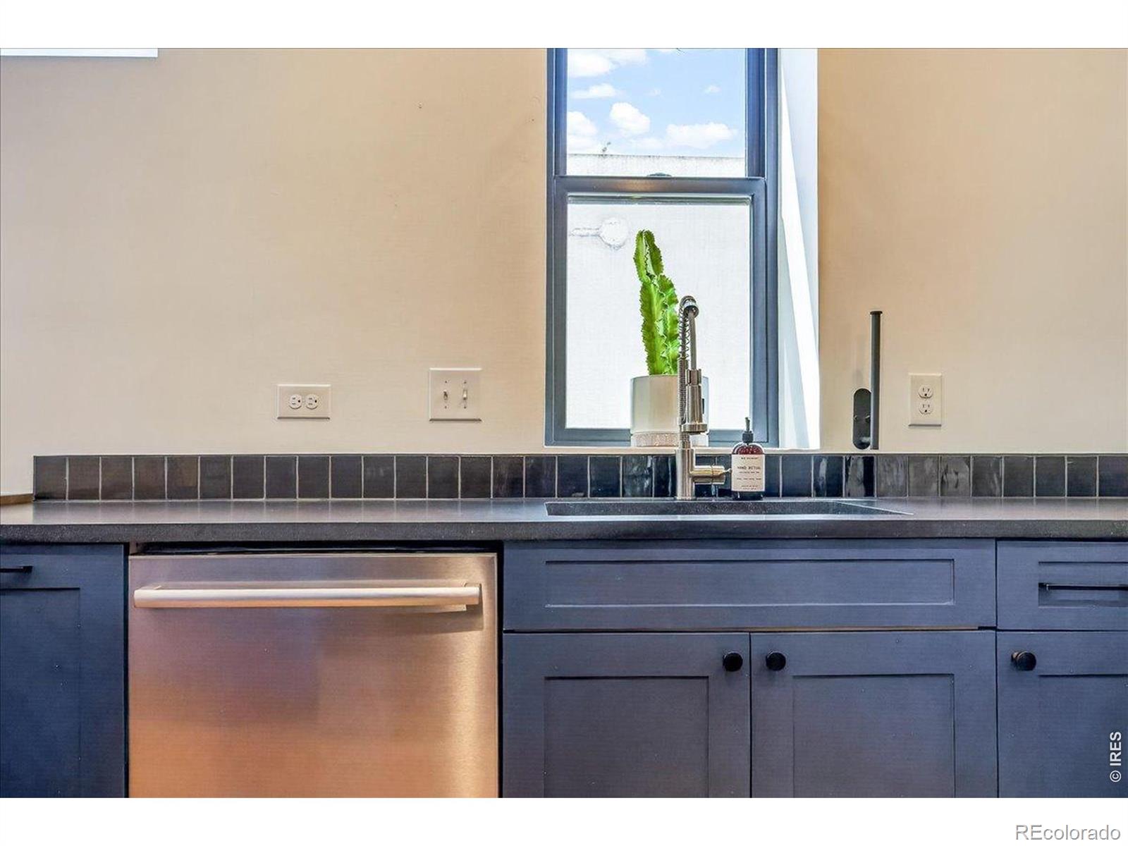 MLS Image #7 for 3317  navajo street,denver, Colorado