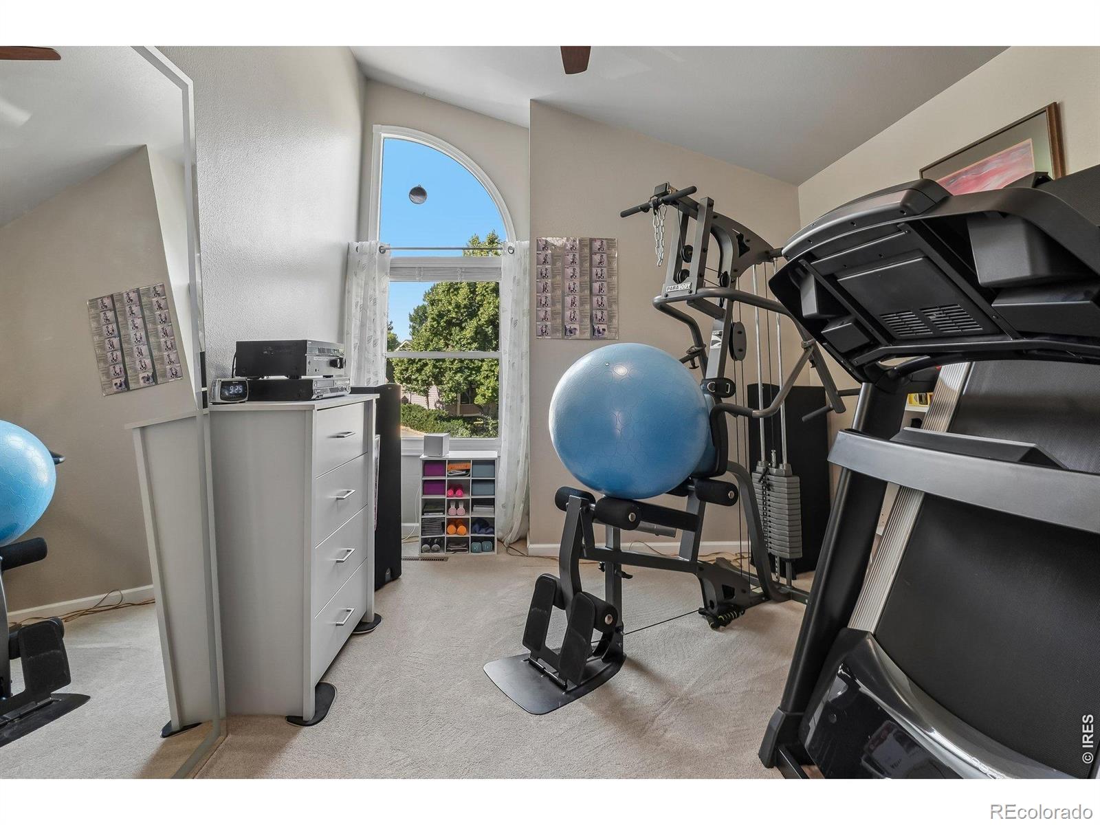 MLS Image #27 for 2430  cochetopa court,fort collins, Colorado