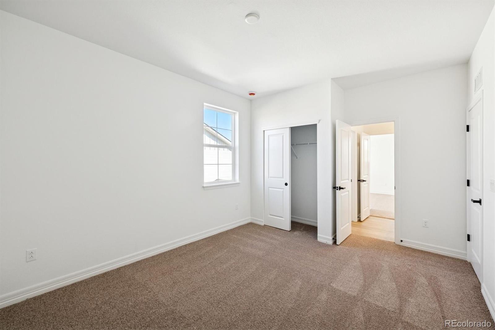 MLS Image #15 for 6114  oban road,timnath, Colorado
