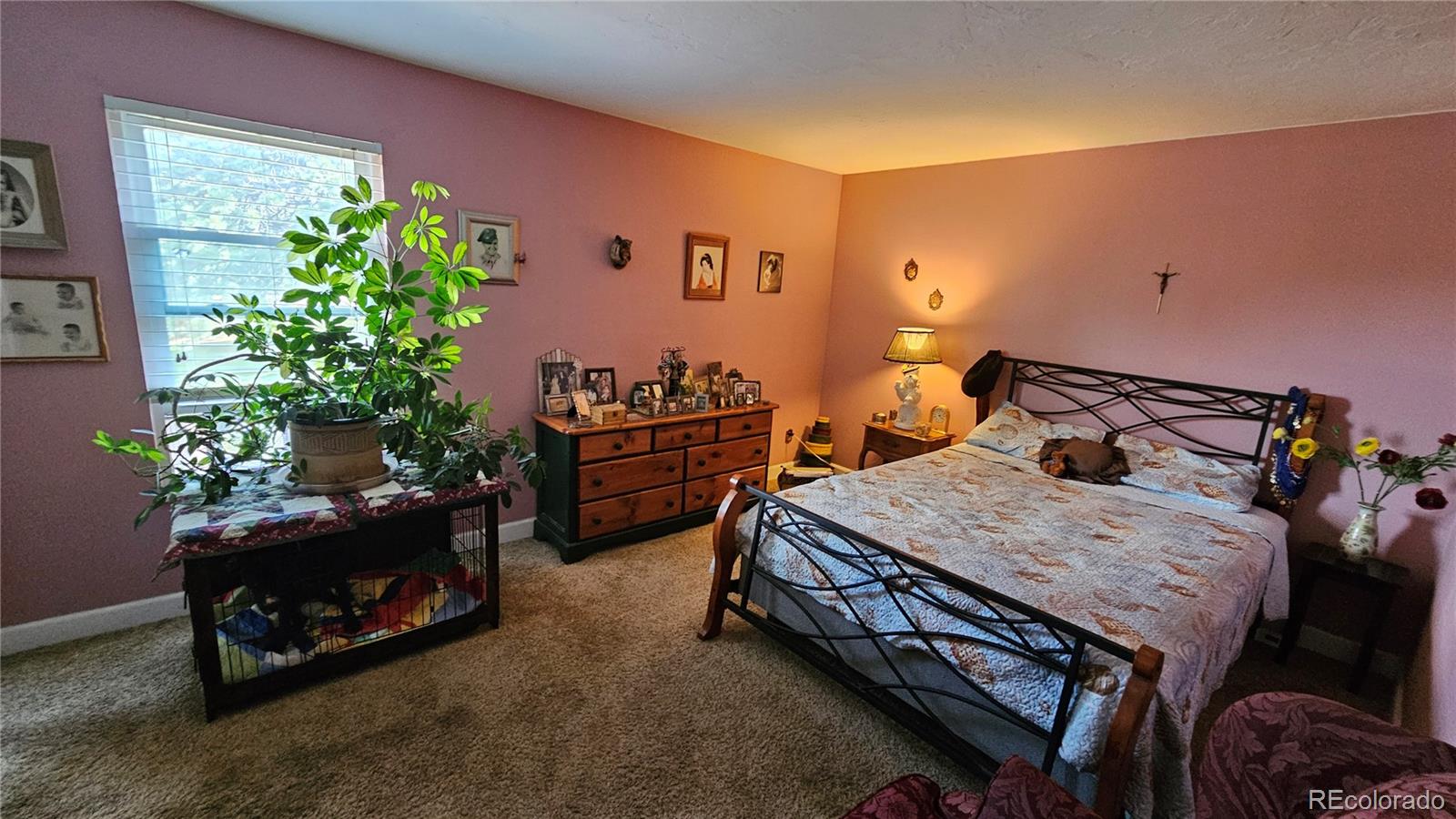MLS Image #10 for 331  wright street,denver, Colorado