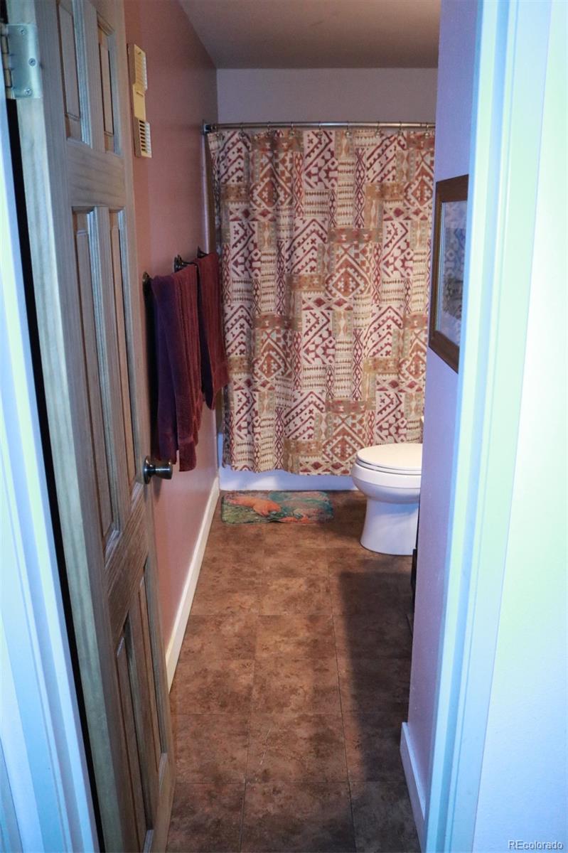MLS Image #11 for 331  wright street,denver, Colorado