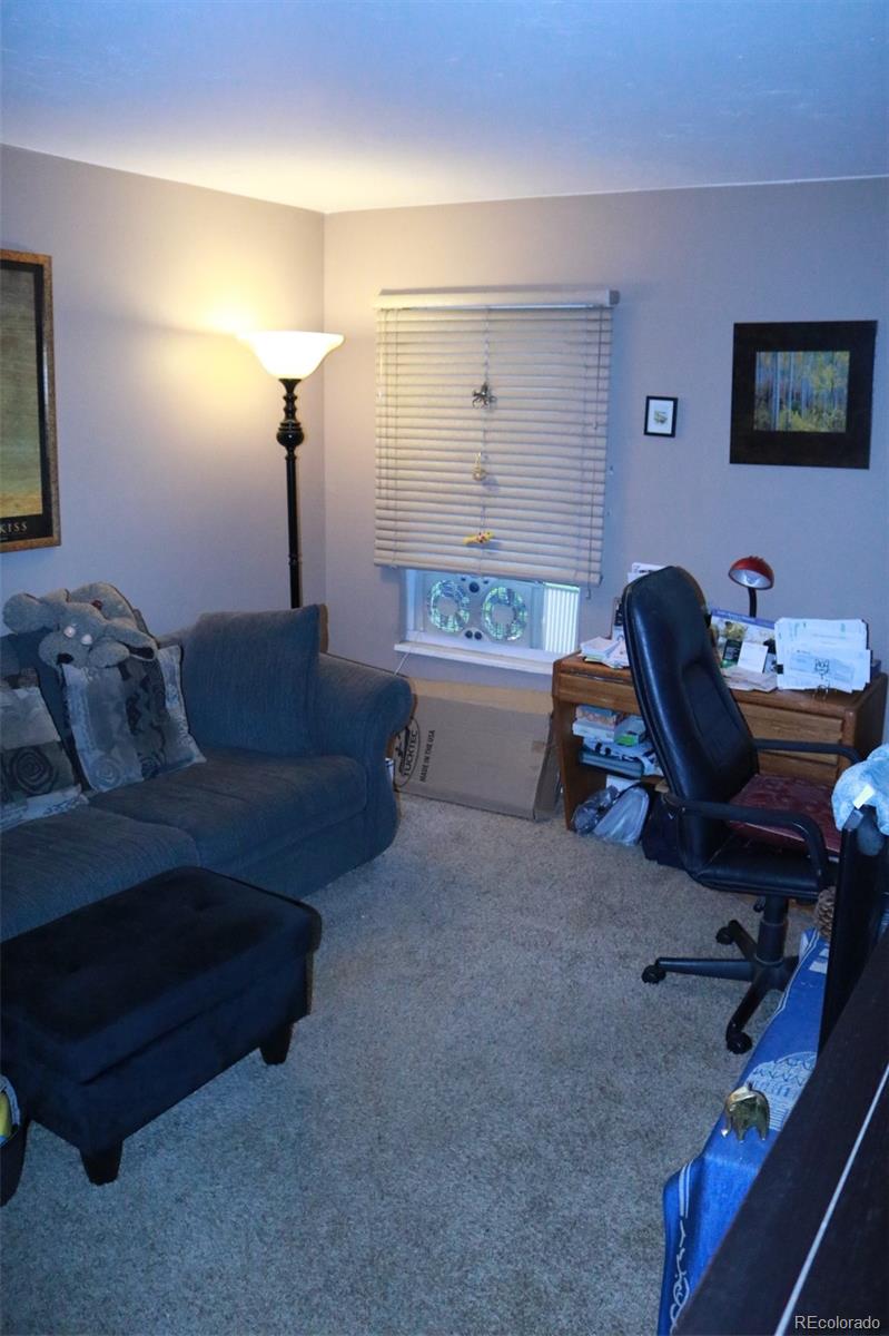 MLS Image #16 for 331  wright street,denver, Colorado