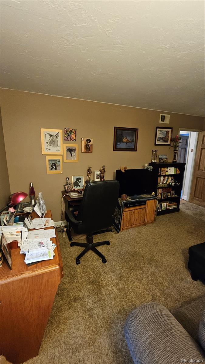 MLS Image #17 for 331  wright street,denver, Colorado