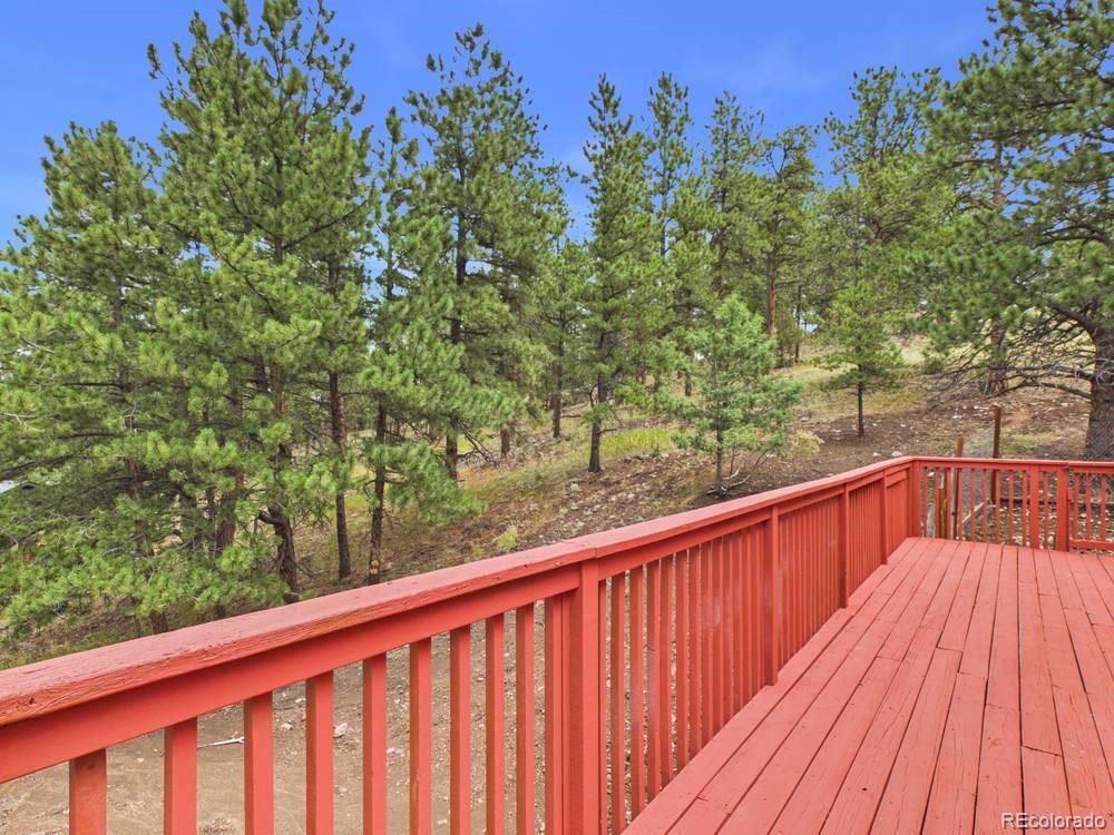 MLS Image #31 for 784  mockingbird trail,bailey, Colorado