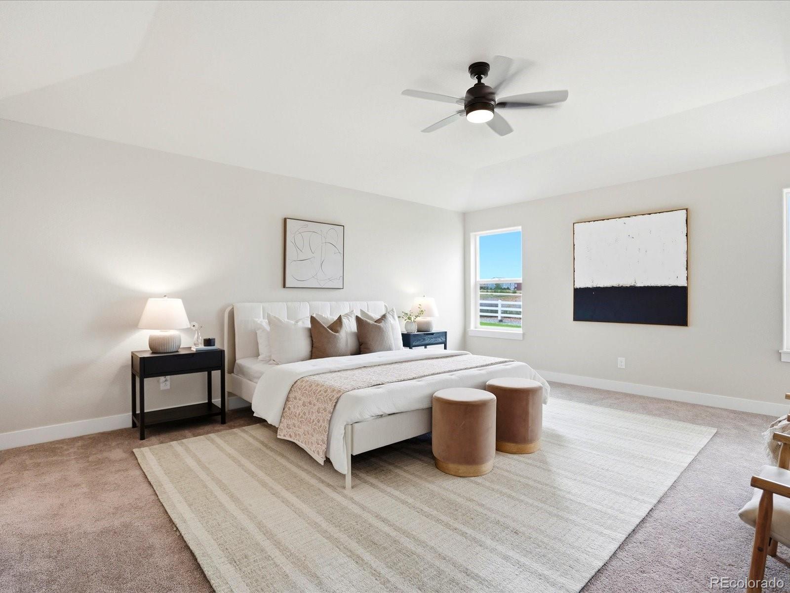 MLS Image #10 for 3643  crested owl court,dacono, Colorado