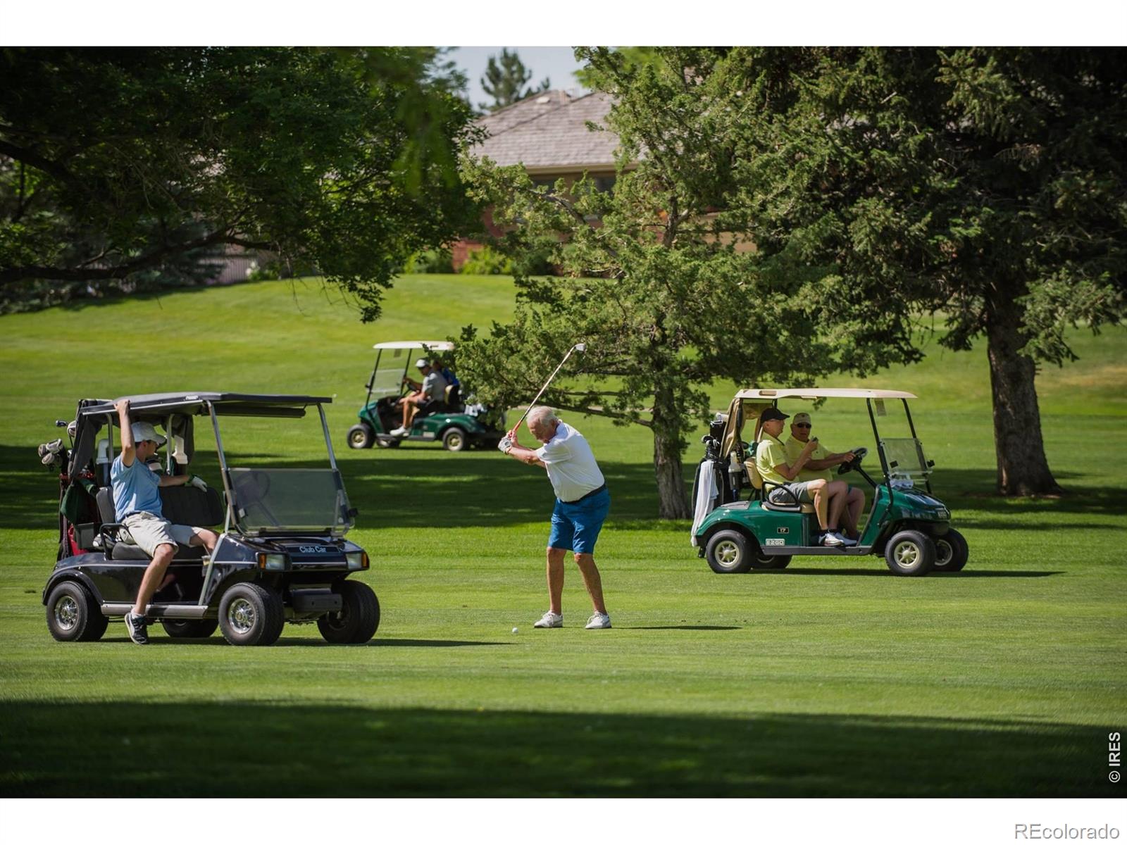 MLS Image #48 for 2109  country club cove,fort collins, Colorado