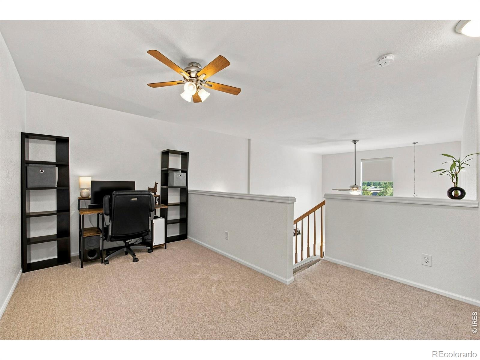 MLS Image #16 for 3030  nunn place,loveland, Colorado