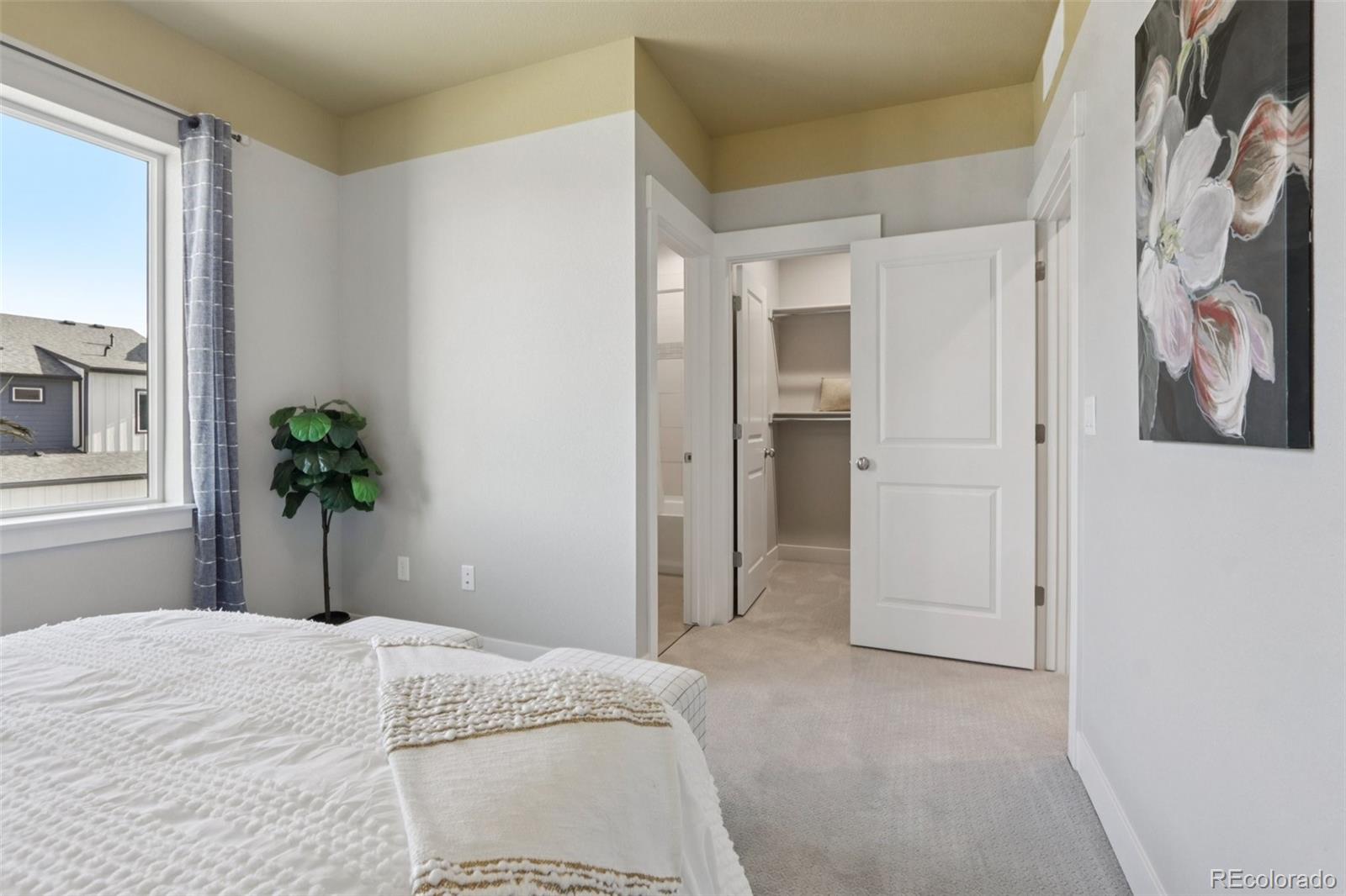 MLS Image #19 for 176  high point drive,longmont, Colorado