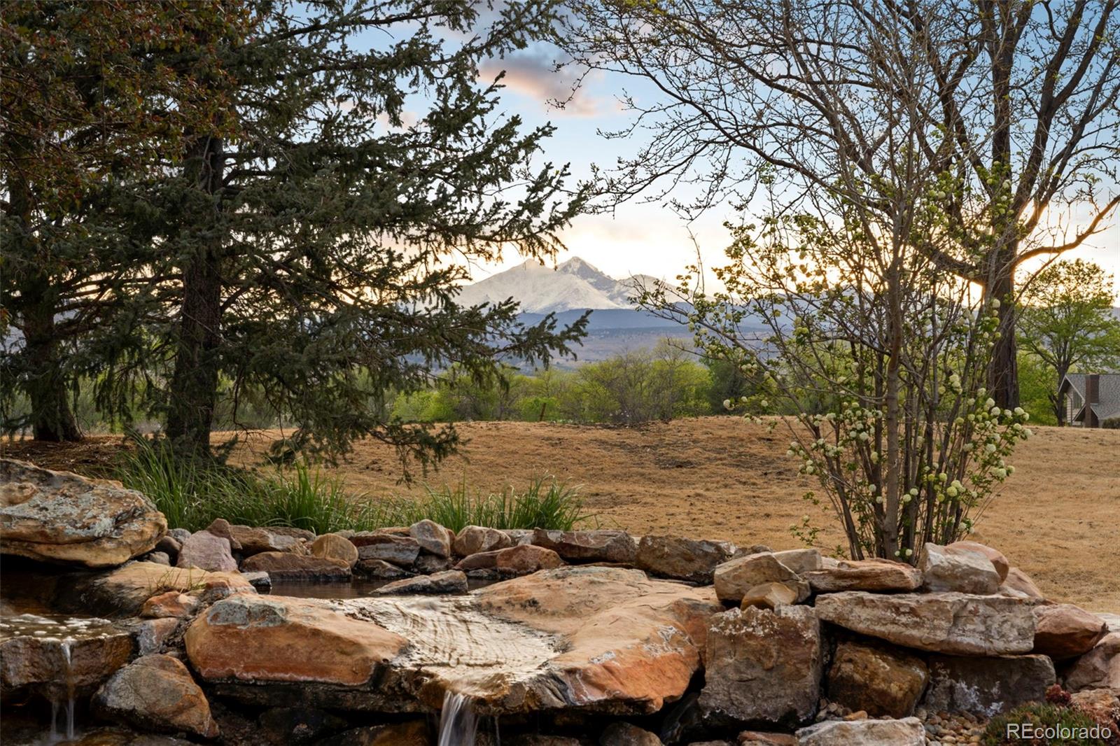 MLS Image #5 for 9402  crystal lane,longmont, Colorado