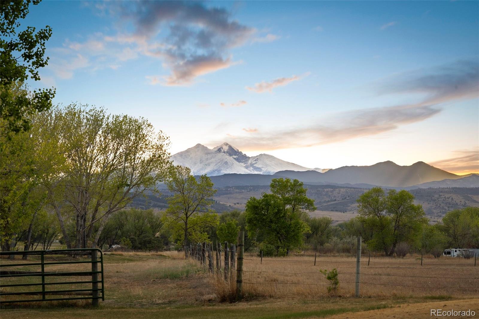 MLS Image #6 for 9402  crystal lane,longmont, Colorado