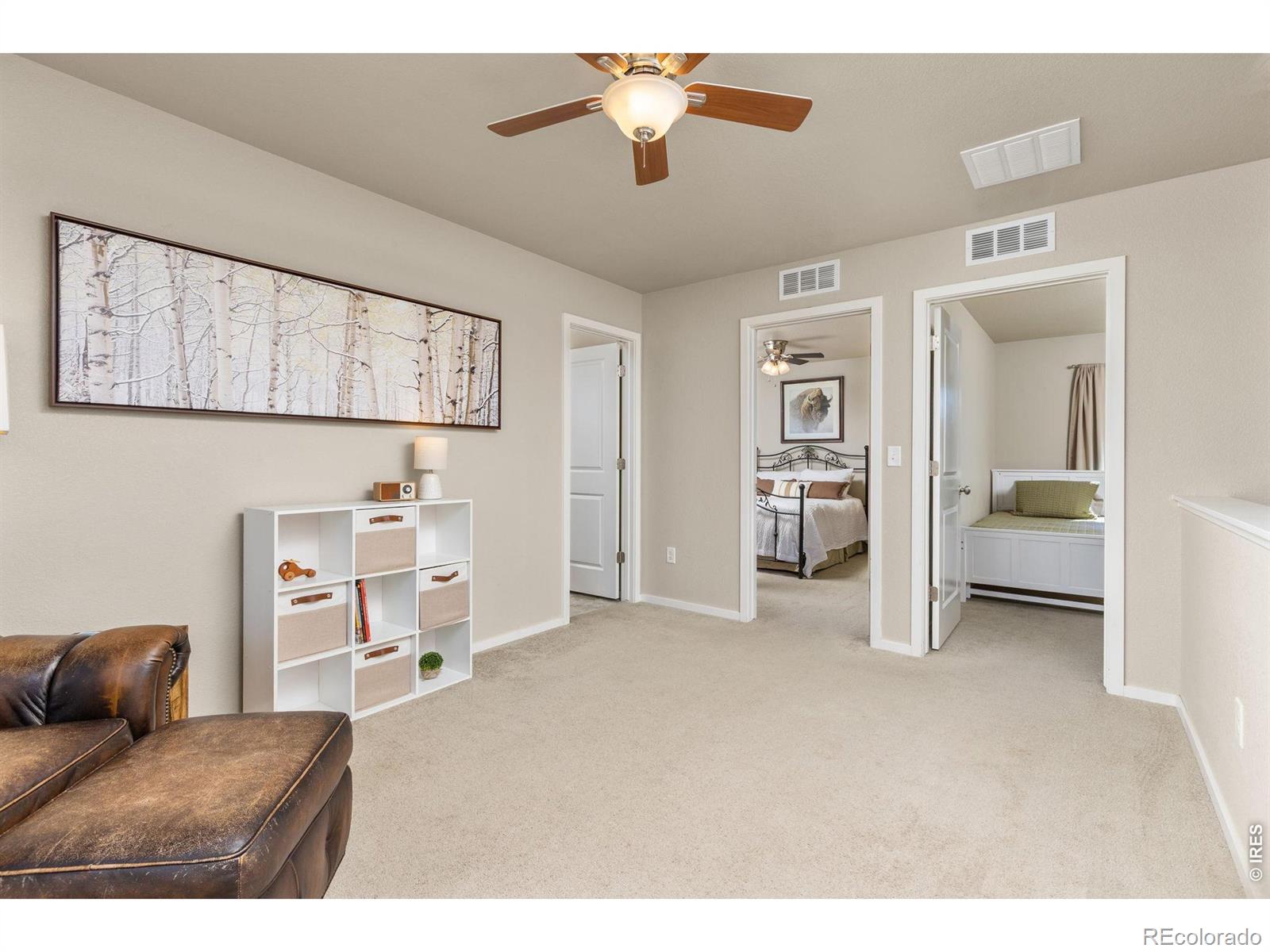 MLS Image #16 for 3118  carney street,loveland, Colorado