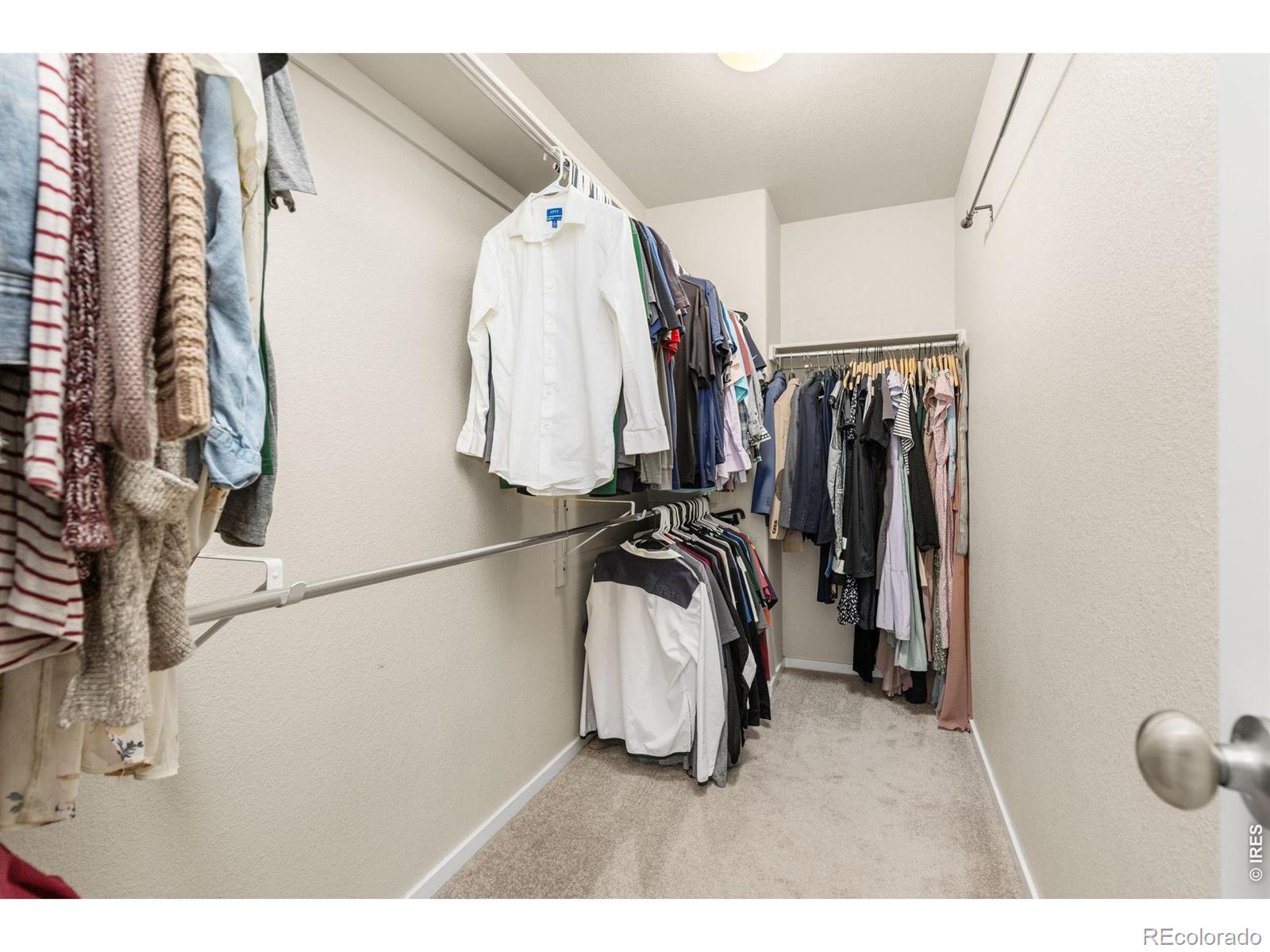 MLS Image #21 for 3118  carney street,loveland, Colorado