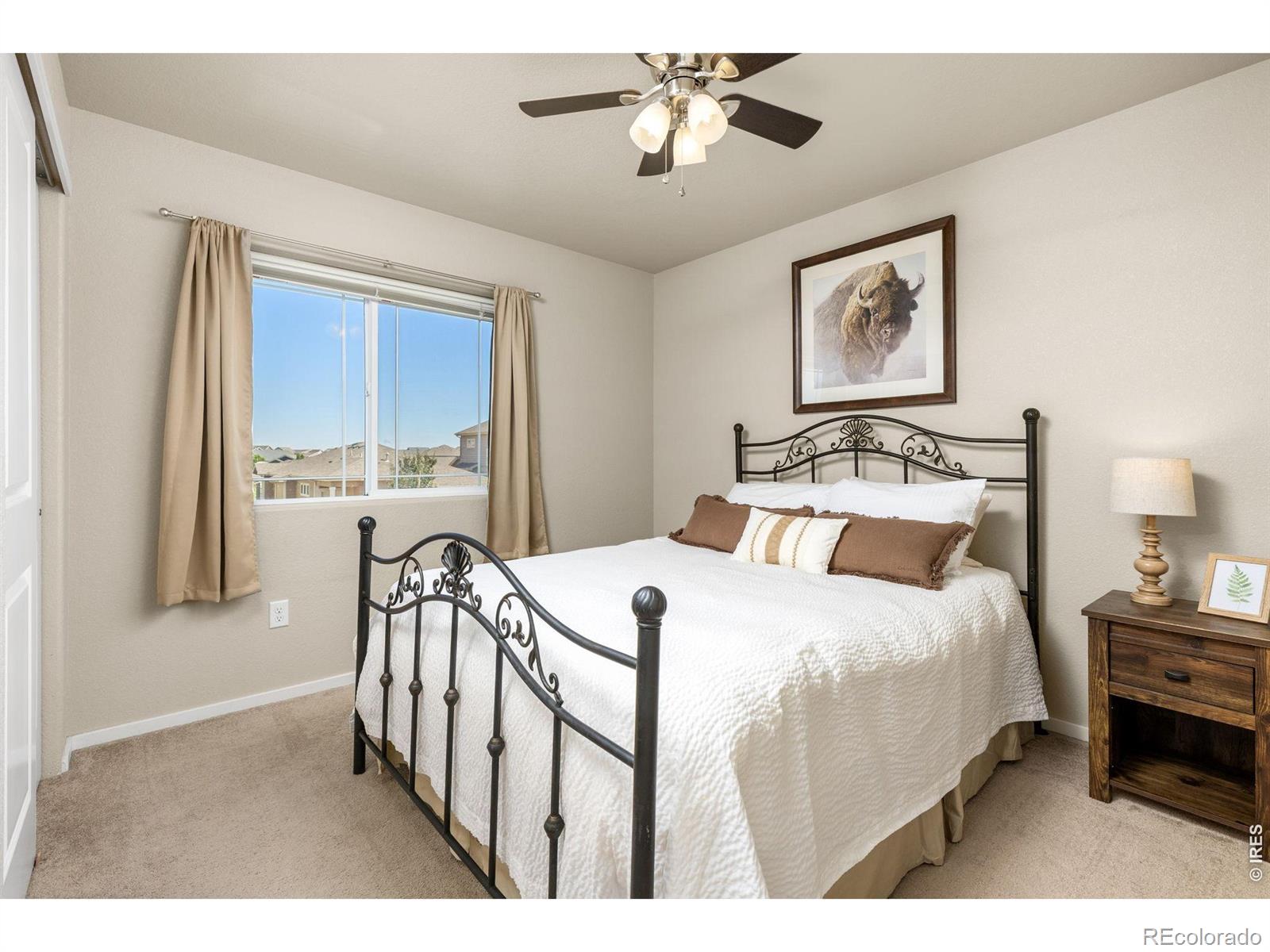 MLS Image #23 for 3118  carney street,loveland, Colorado