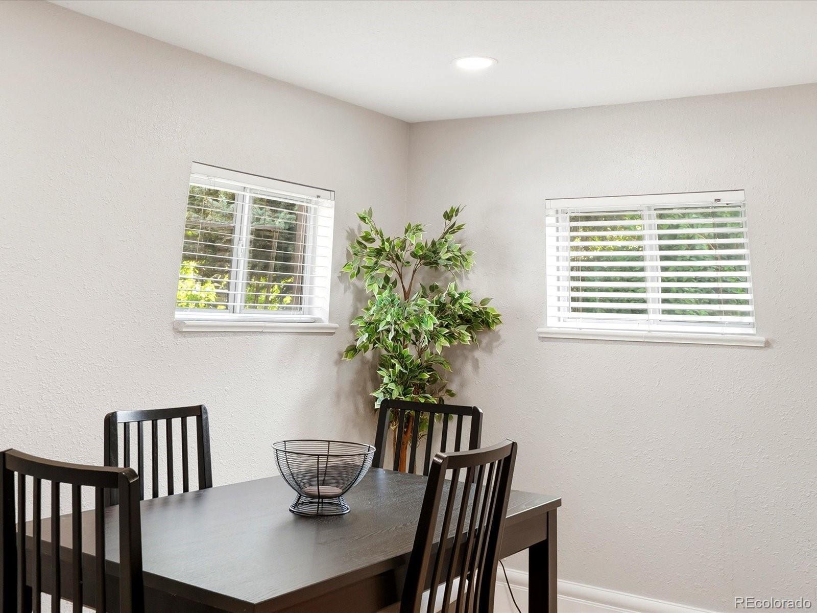 MLS Image #29 for 2343 n downing street,denver, Colorado