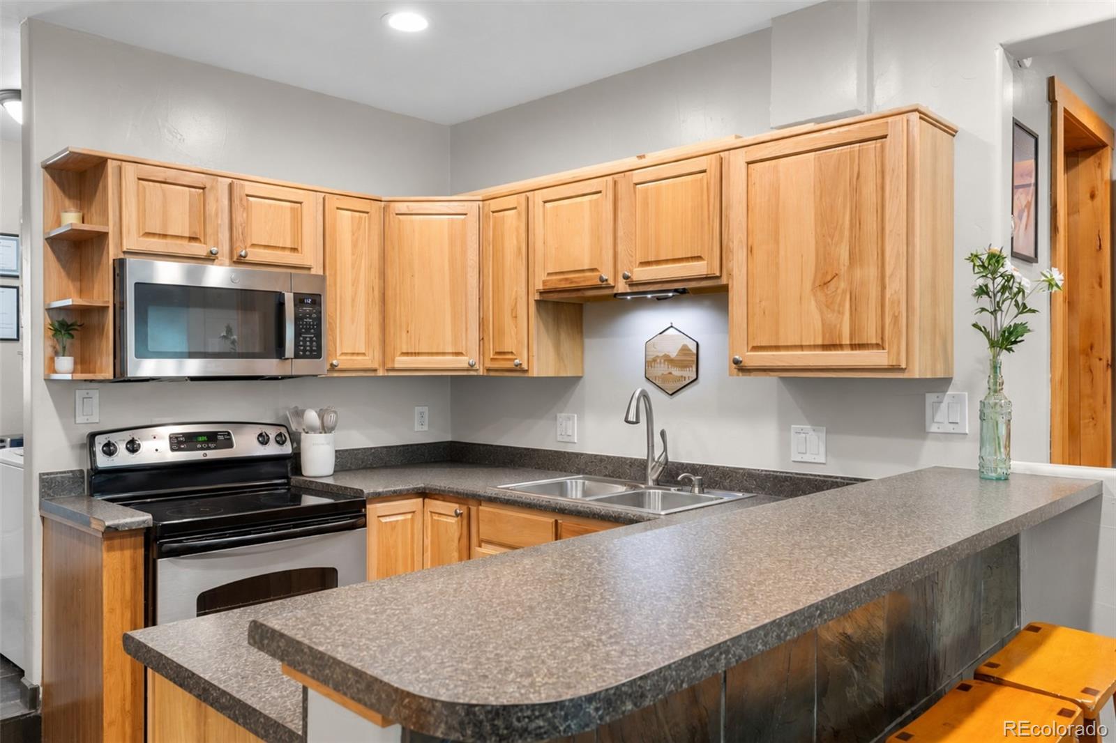 MLS Image #10 for 216  pitkin street,frisco, Colorado