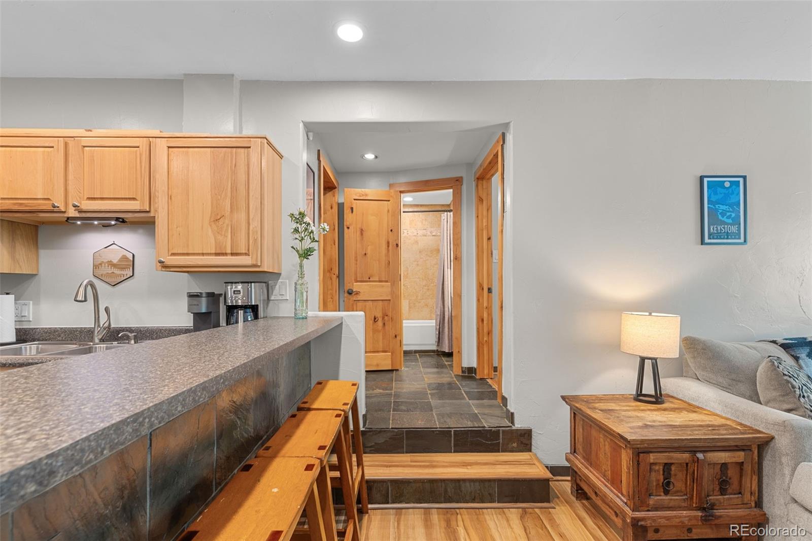 MLS Image #11 for 216  pitkin street,frisco, Colorado