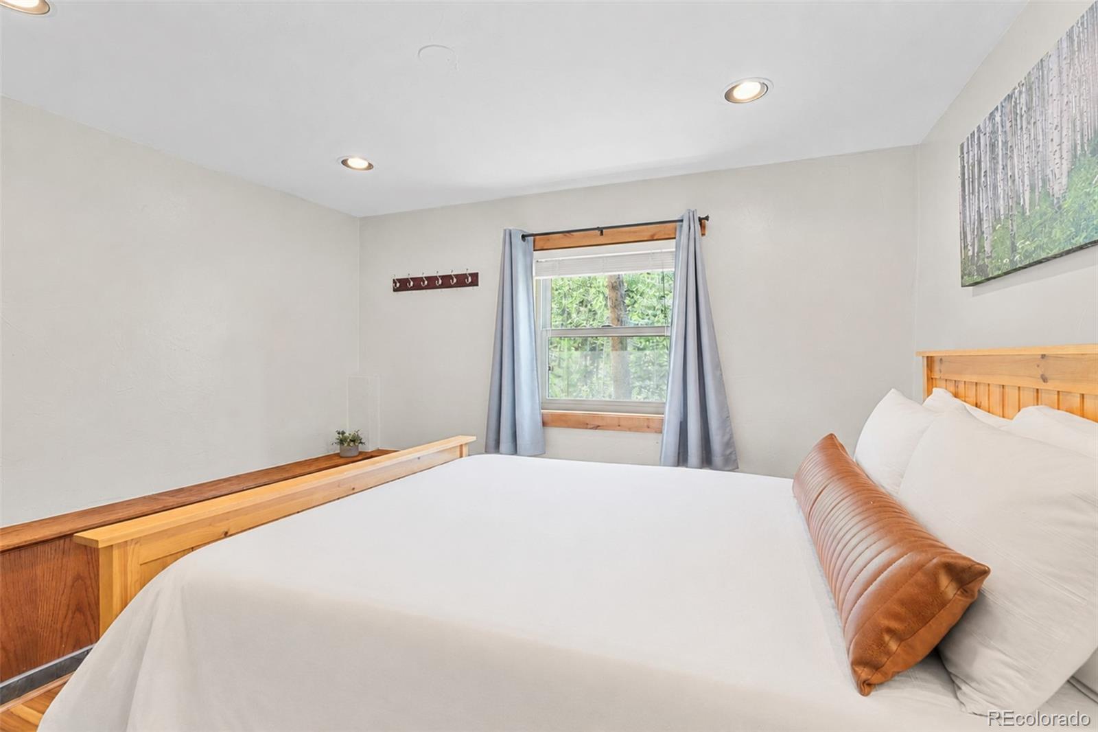 MLS Image #16 for 216  pitkin street,frisco, Colorado