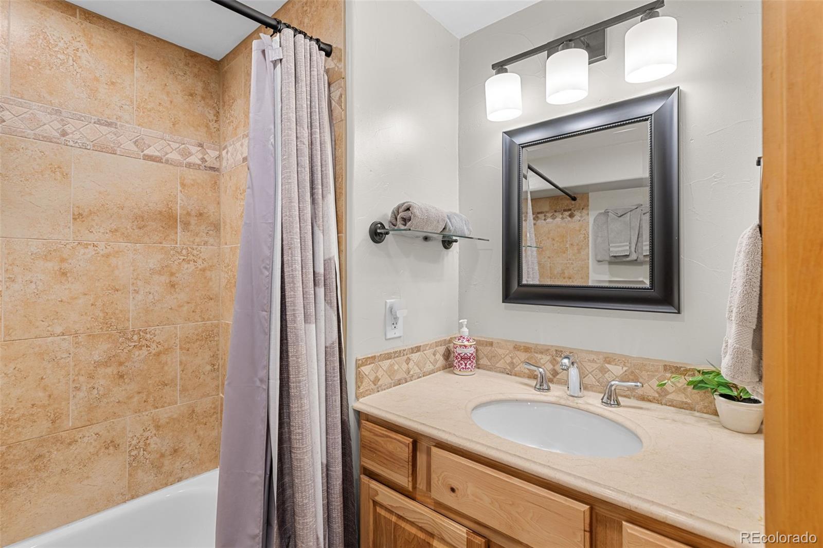 MLS Image #18 for 216  pitkin street,frisco, Colorado