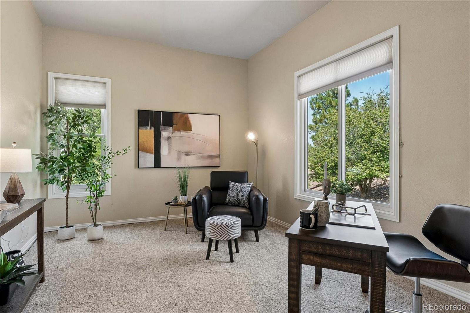 MLS Image #14 for 6987  ashley court,parker, Colorado