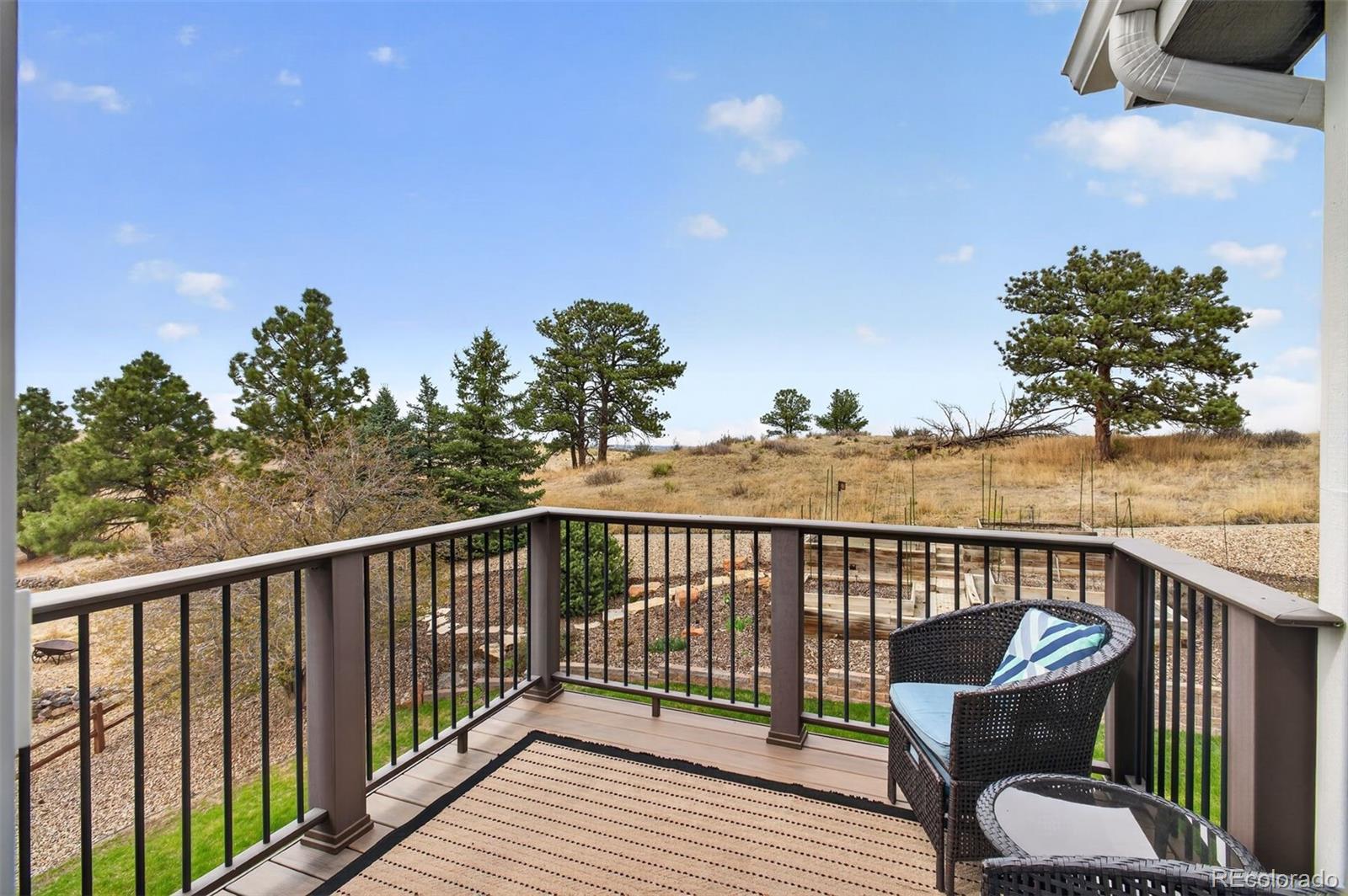 MLS Image #19 for 6987  ashley court,parker, Colorado