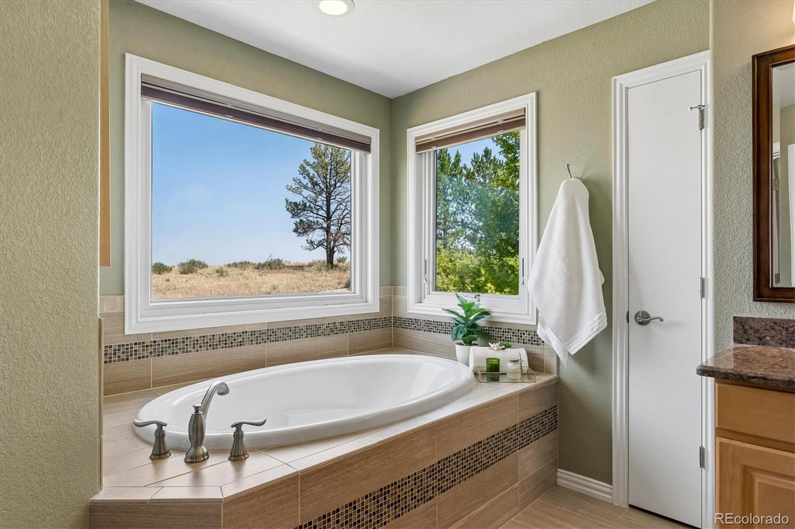 MLS Image #20 for 6987  ashley court,parker, Colorado