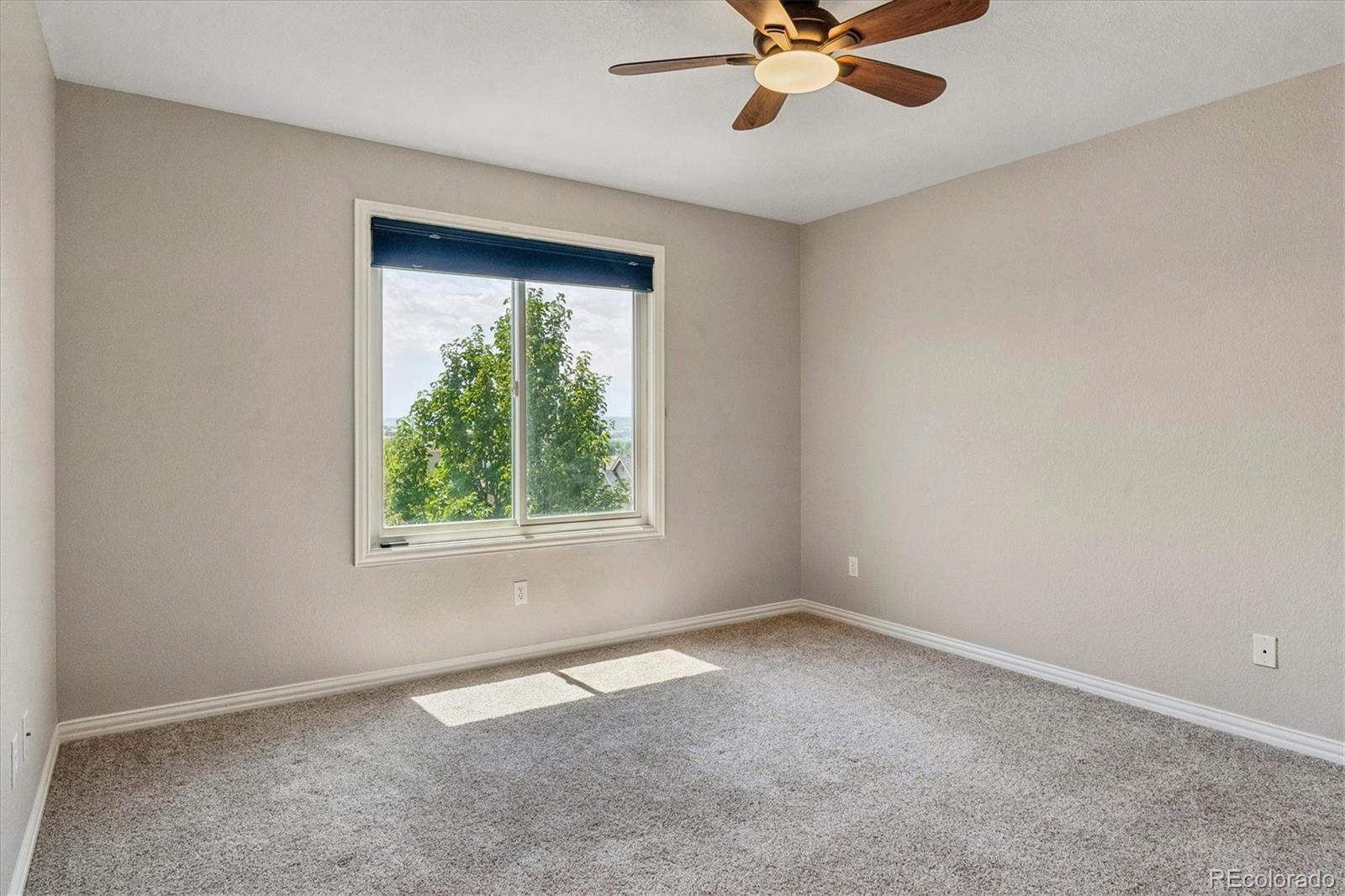 MLS Image #25 for 6987  ashley court,parker, Colorado