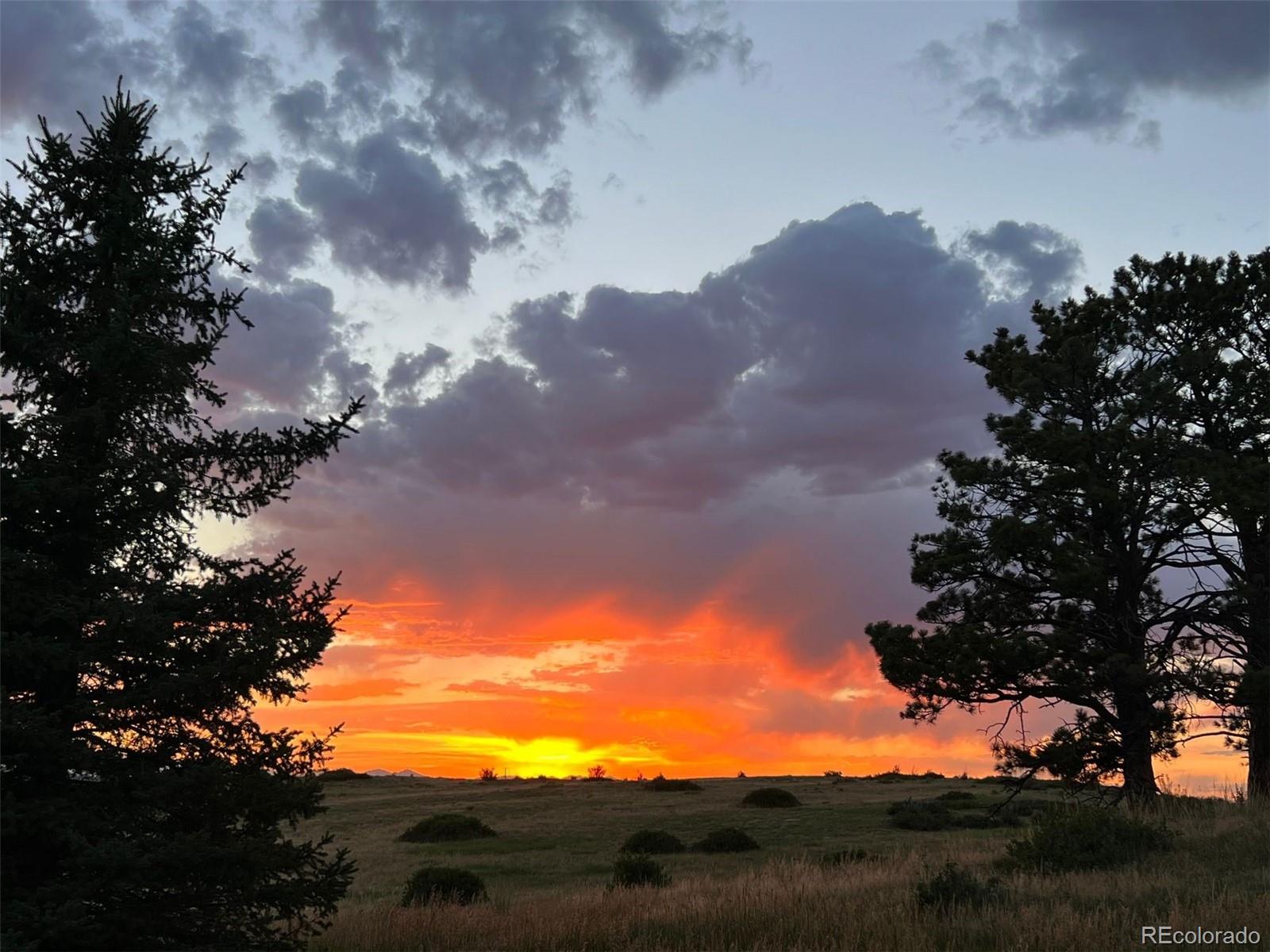 MLS Image #46 for 6987  ashley court,parker, Colorado