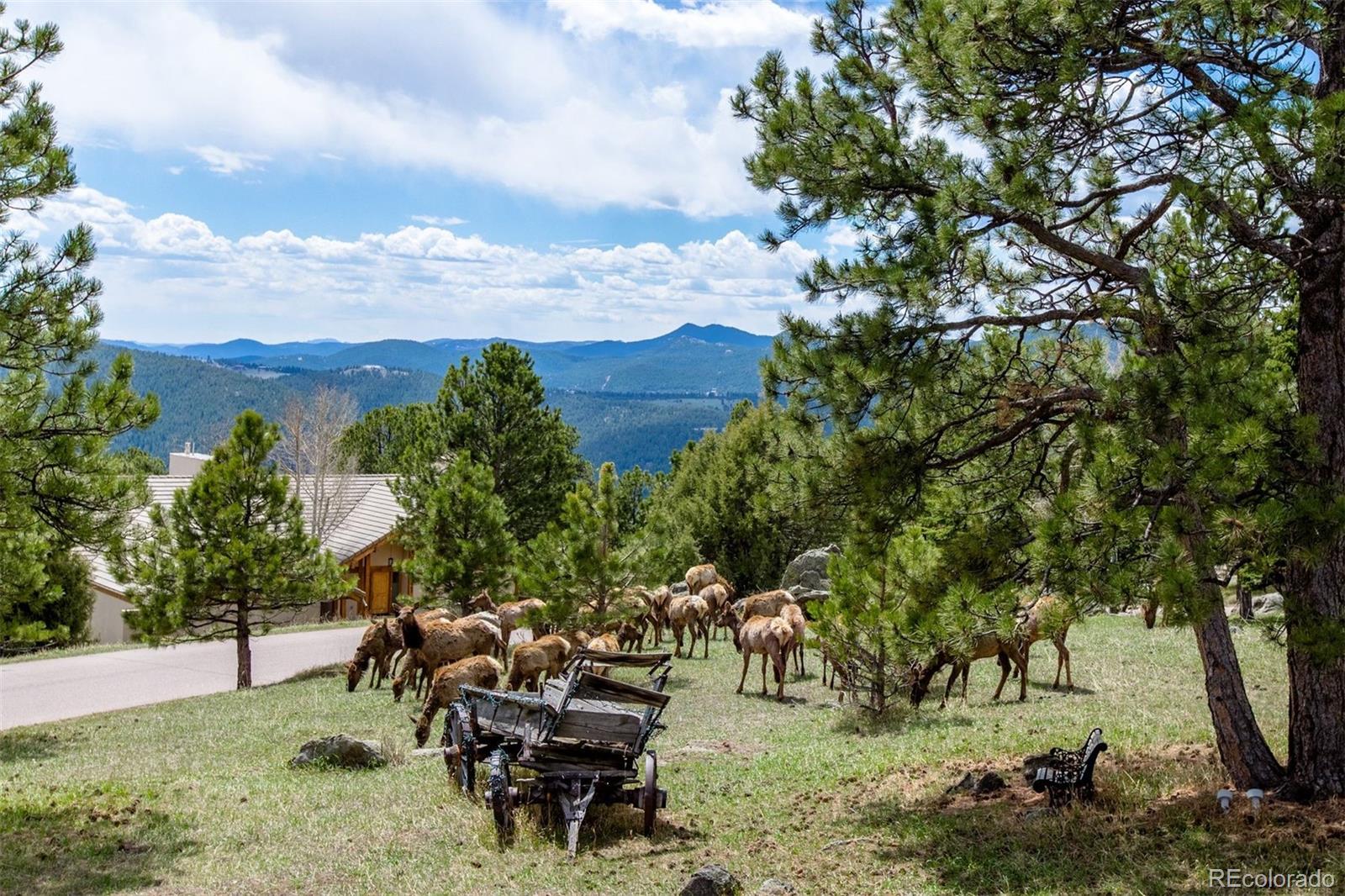 MLS Image #49 for 1644  tamarac drive,golden, Colorado
